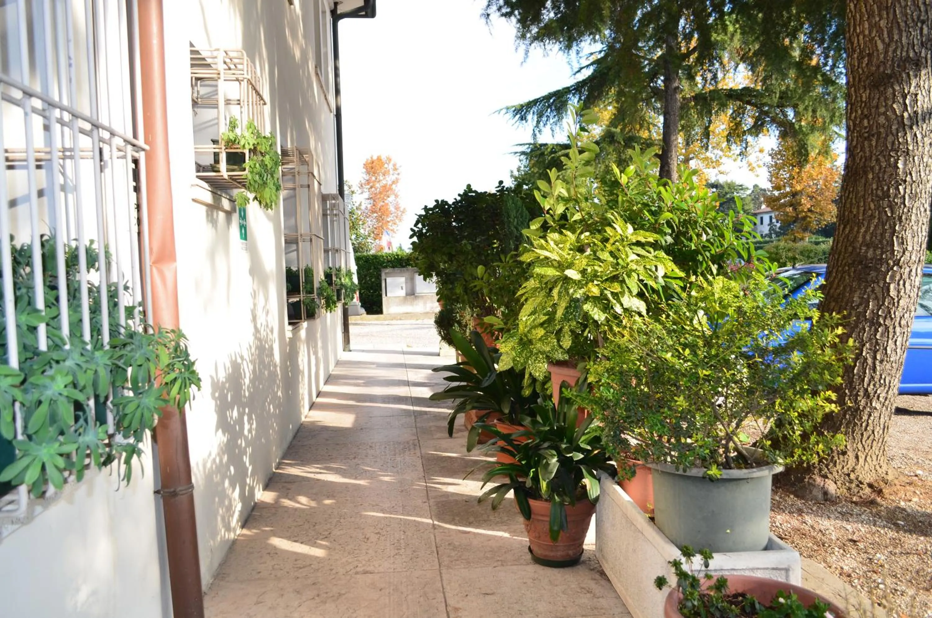 Garden in Hotel Magnolia