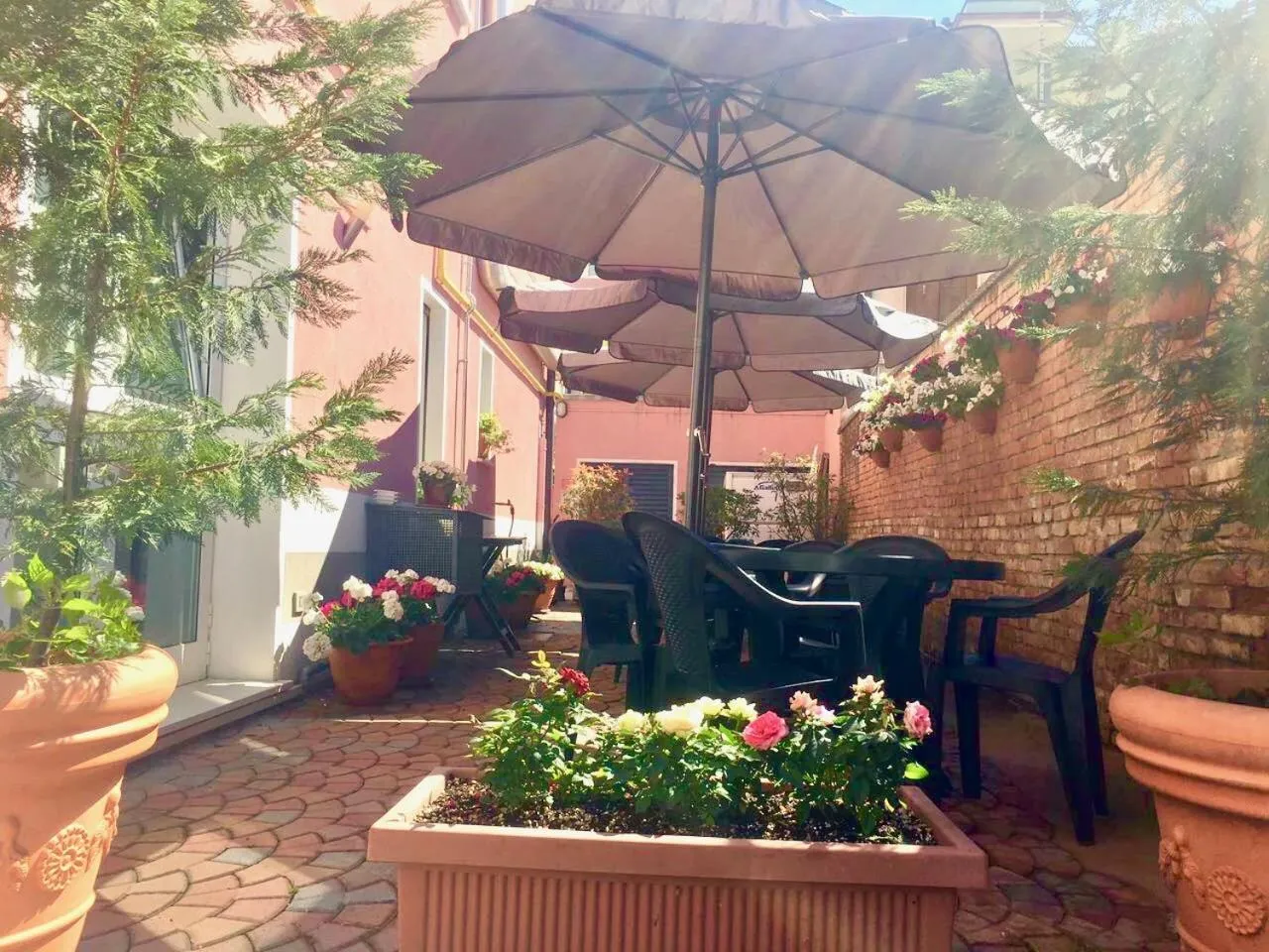 Garden view in Hotel Paris