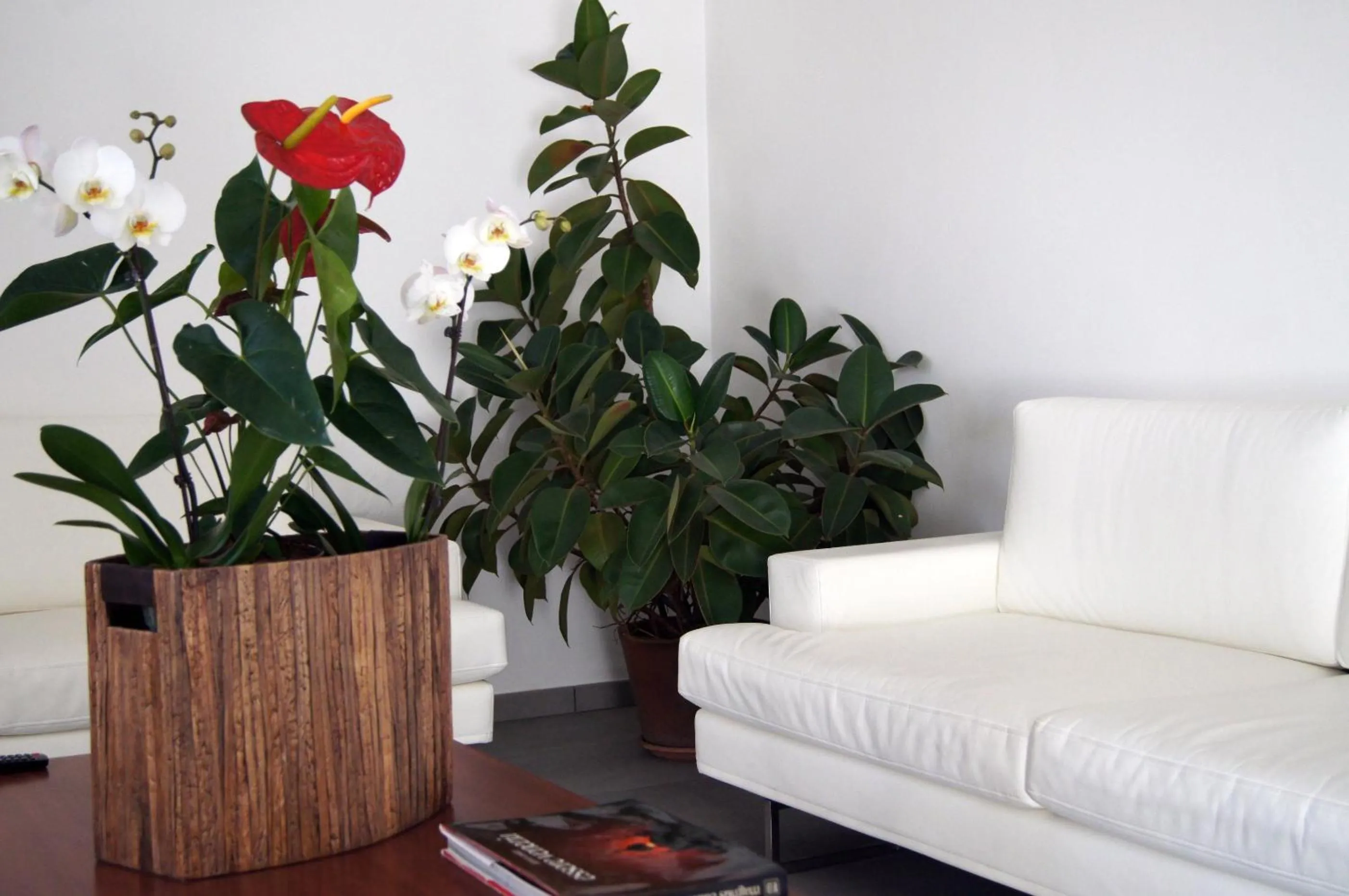 Other, Bed in Hotel Paris