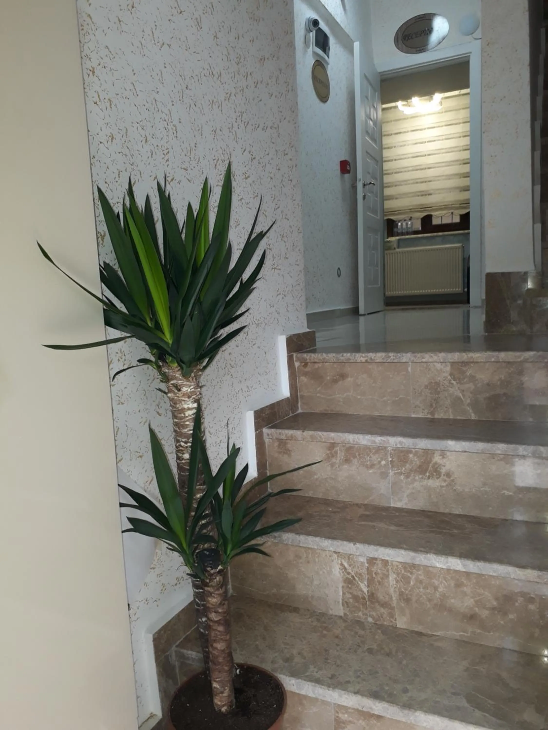 Facade/entrance in blue sail hotel