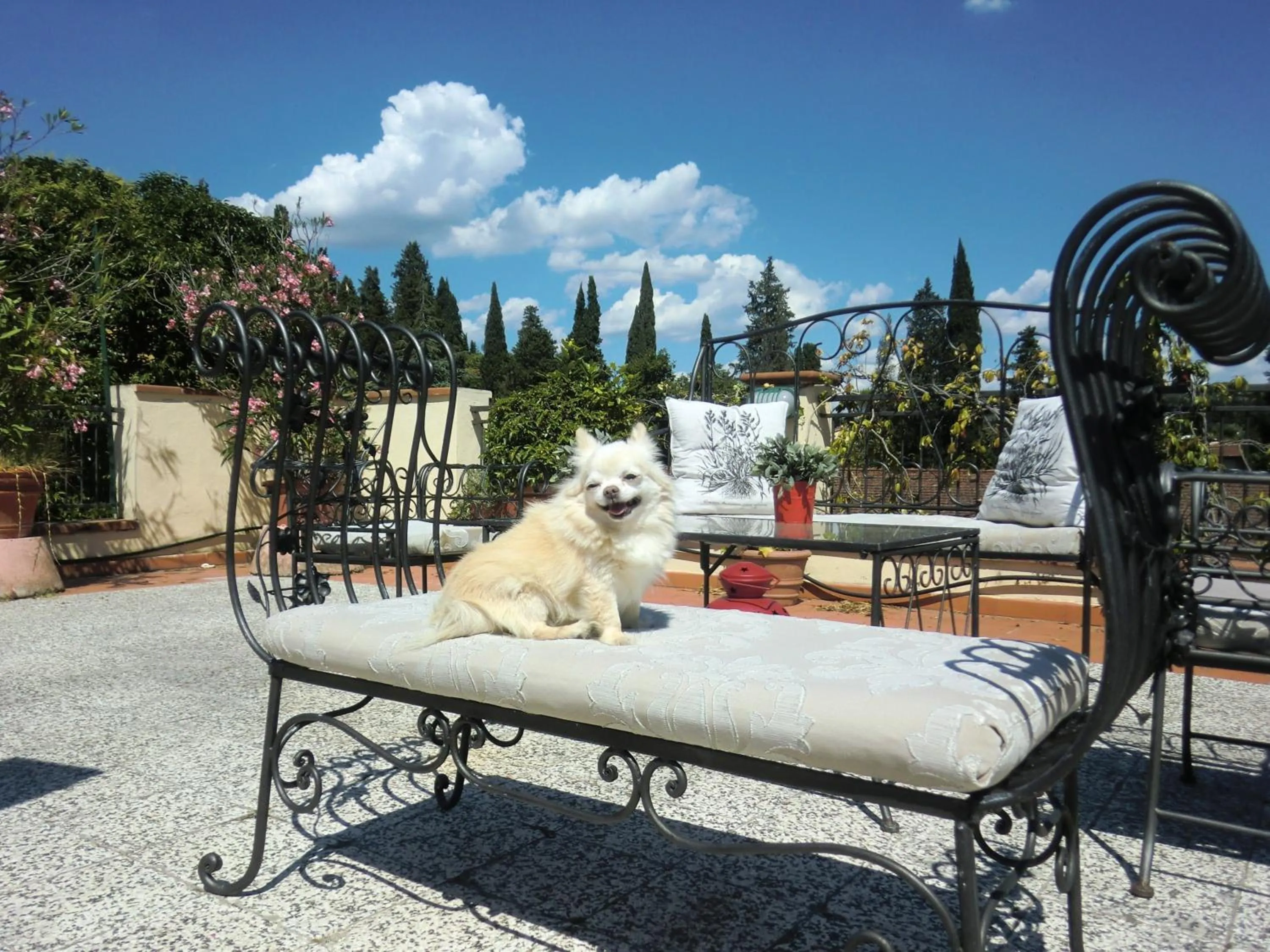 Pets in Argentiere Room Apartments