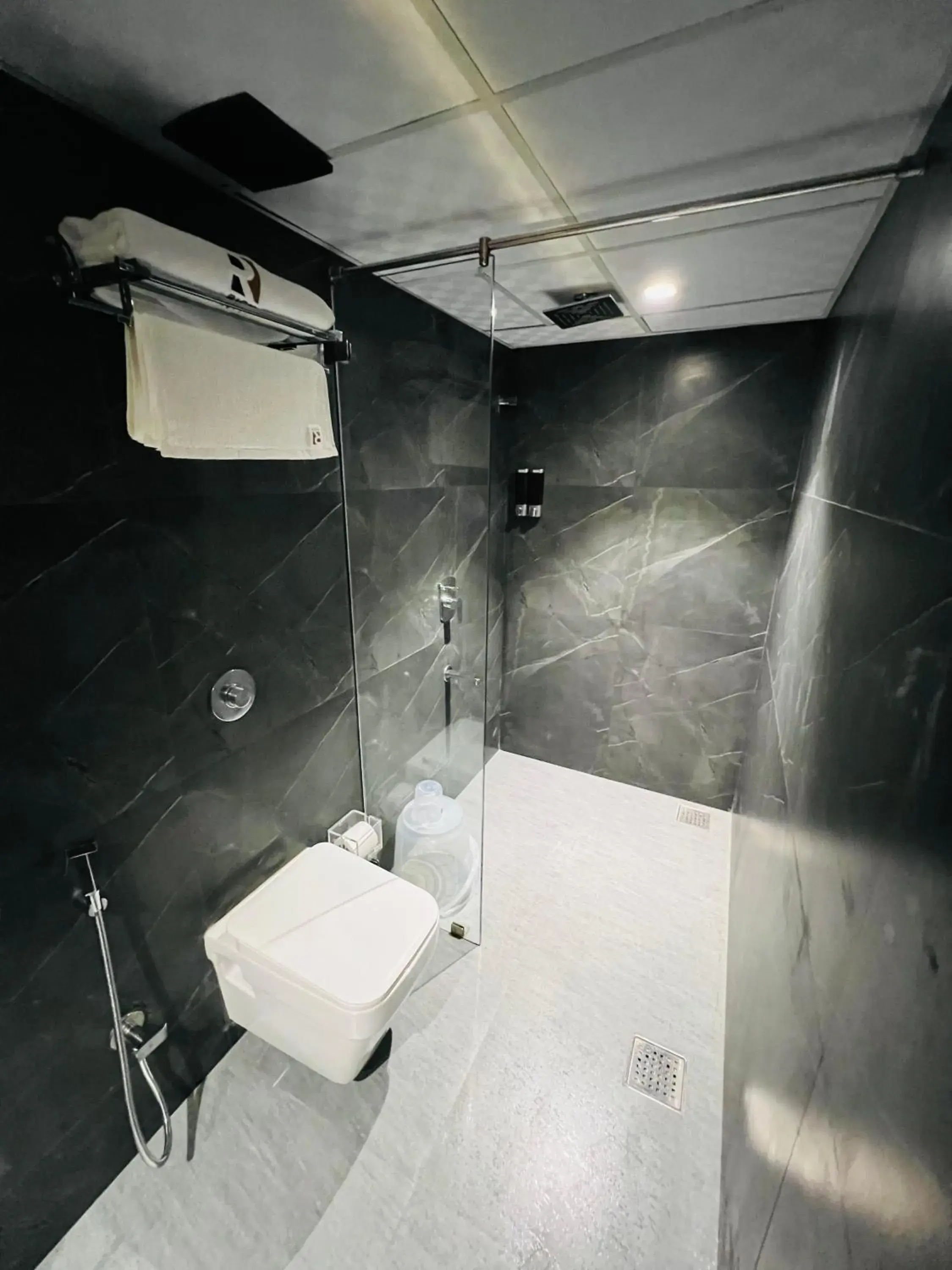 Shower in Rich Hotel Mumbai Shower in Rich Hotel Mumbai