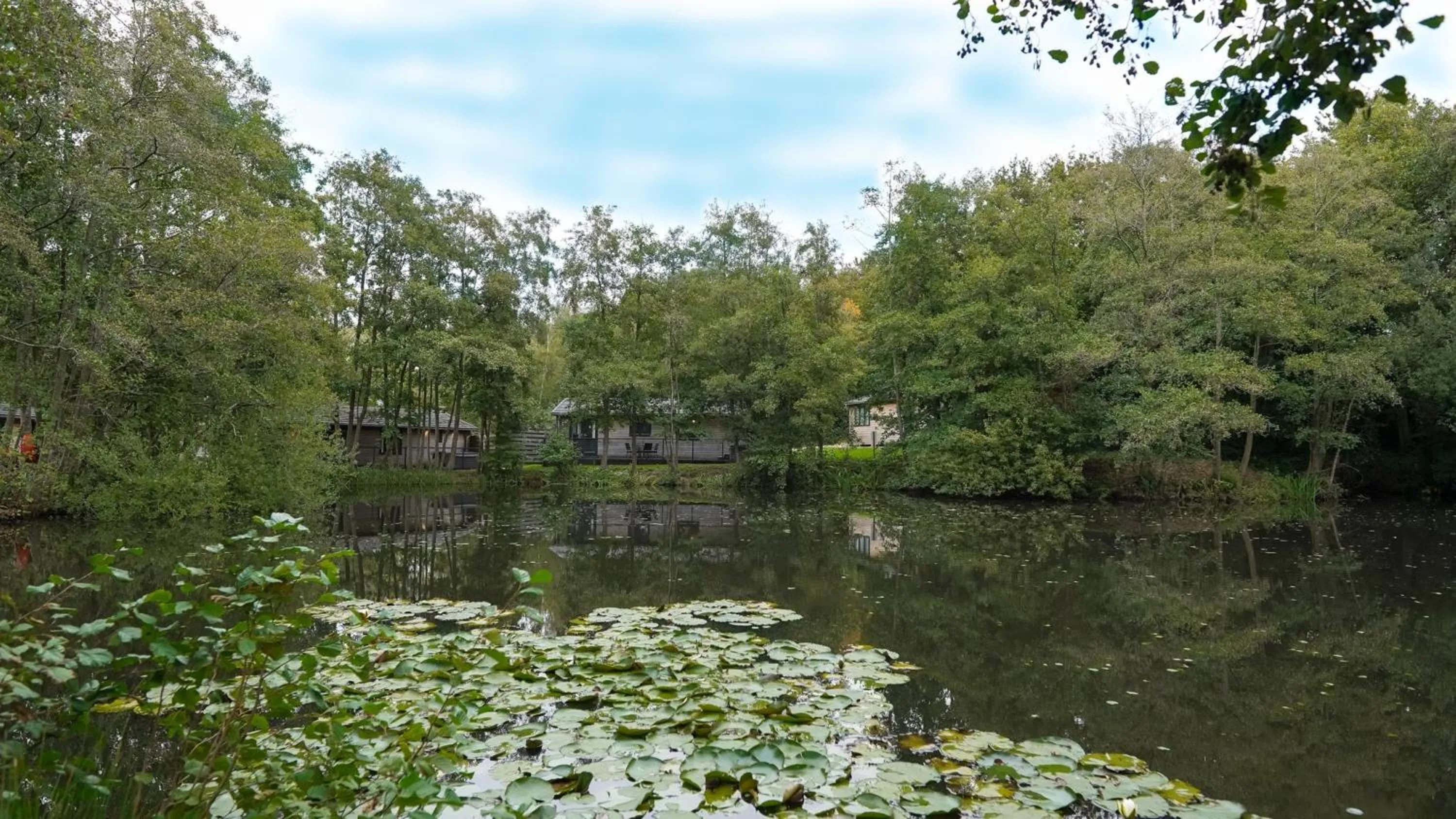 Natural landscape in Warren Wood Country Park