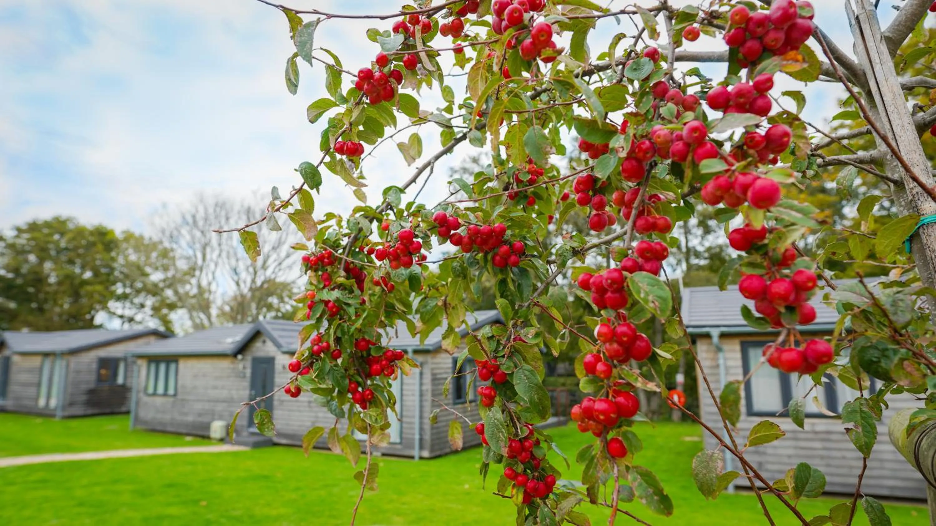 Property building in Warren Wood Country Park