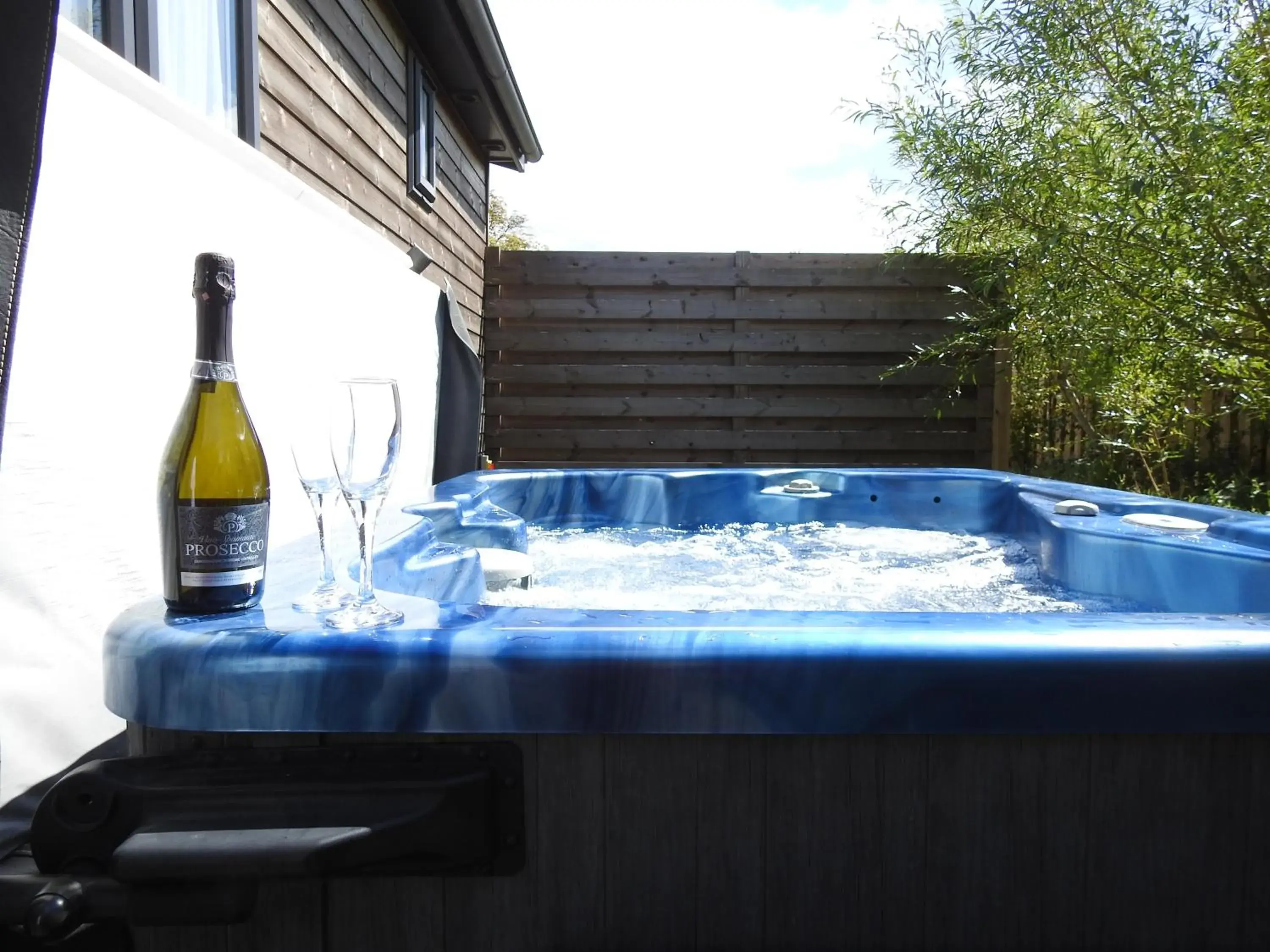 Day in Warren Wood Country Park Day in Warren Wood Country Park