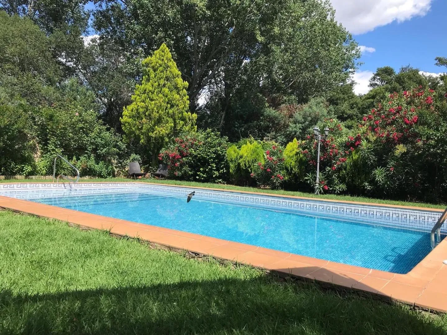 Swimming pool in Finca Vergel