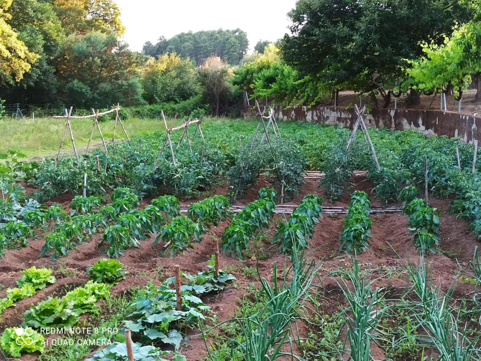 Natural landscape in Finca Vergel