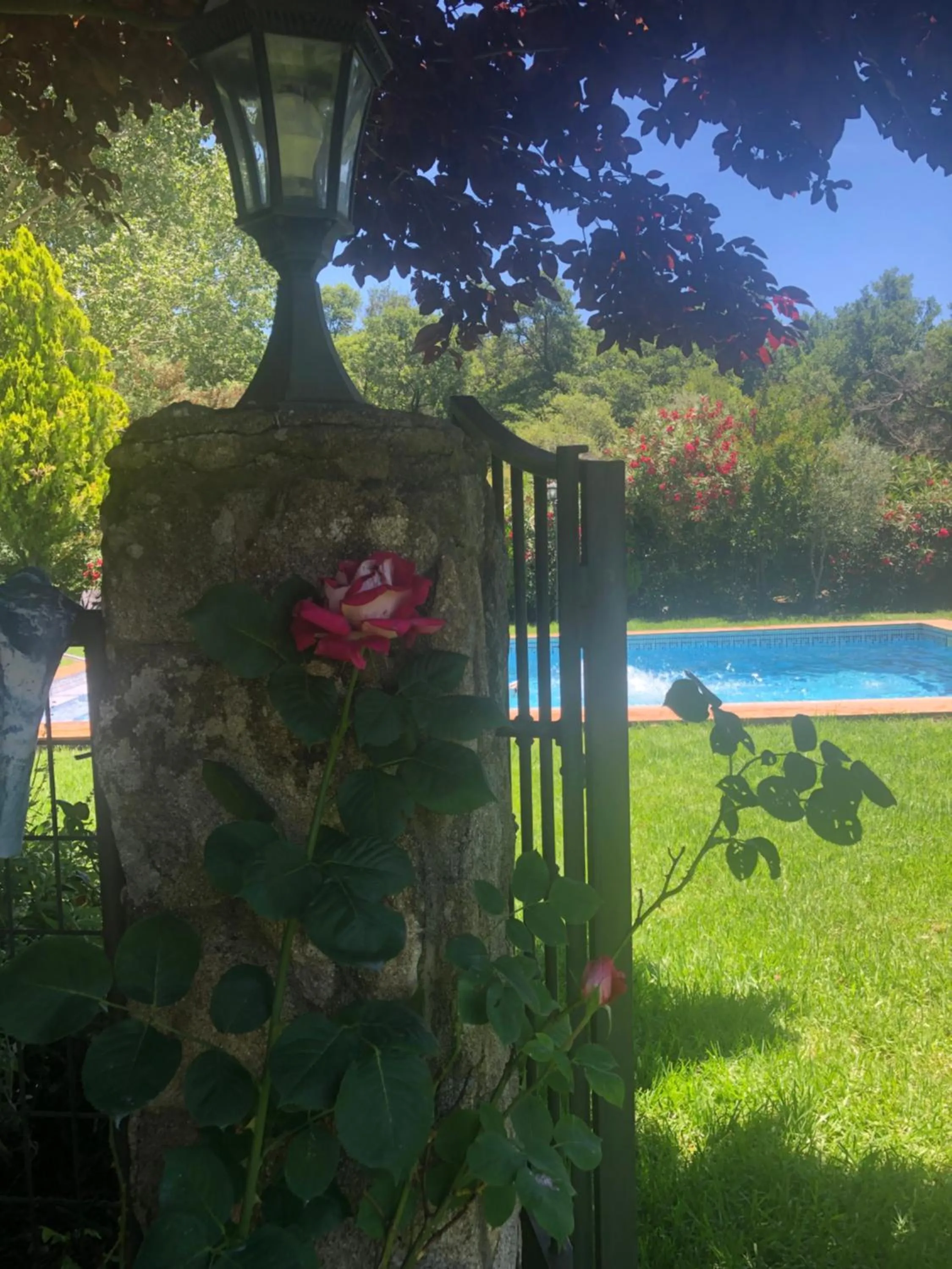 Garden view in Finca Vergel