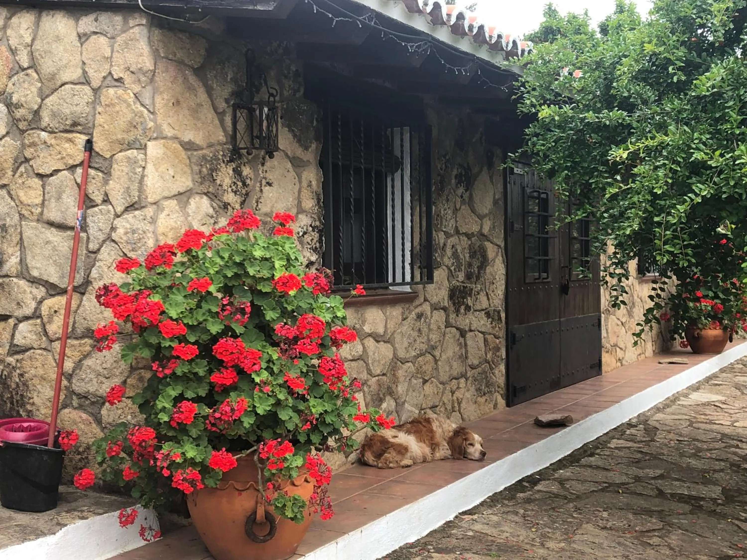 Garden view in Finca Vergel