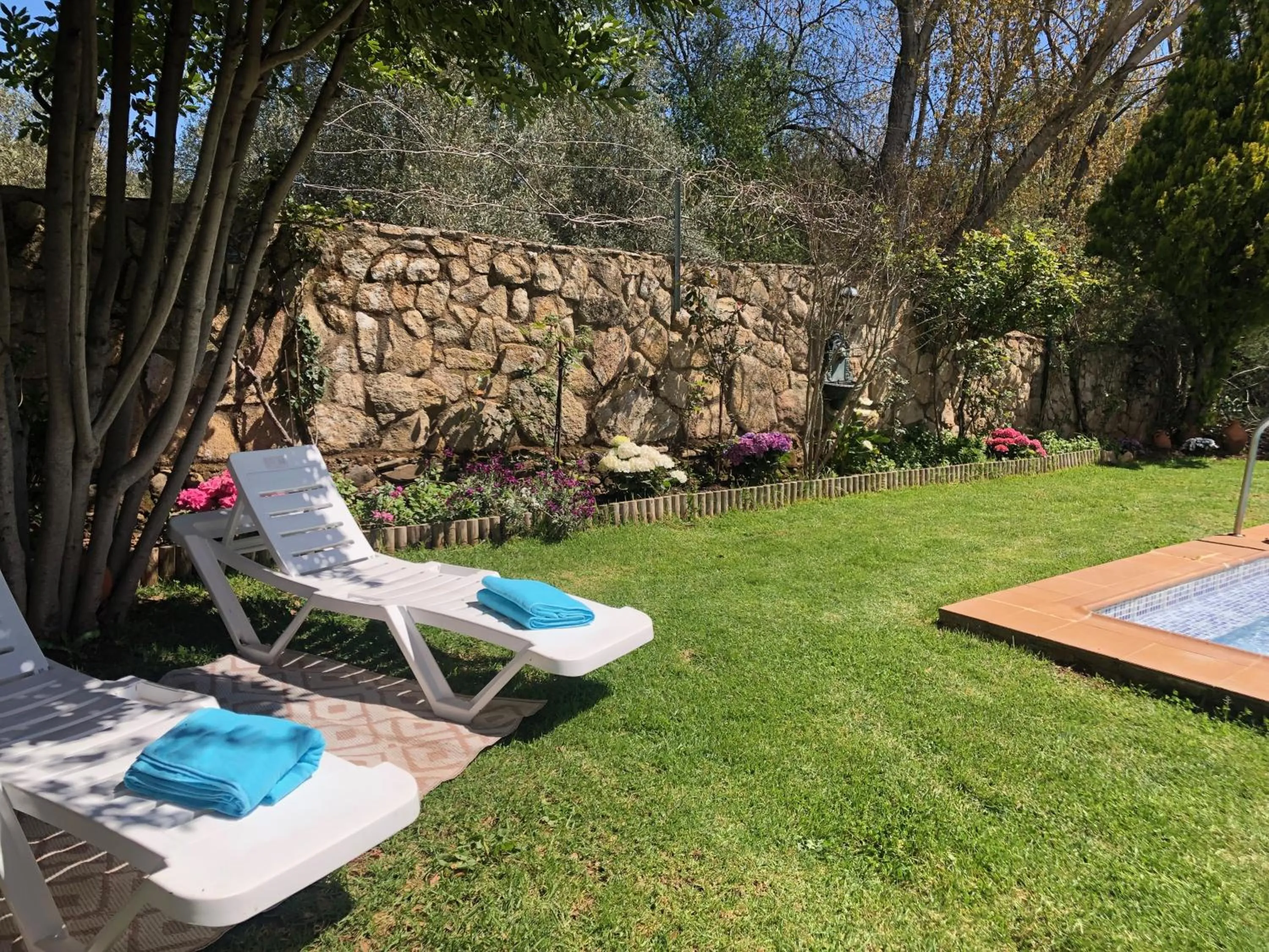 Swimming pool in Finca Vergel