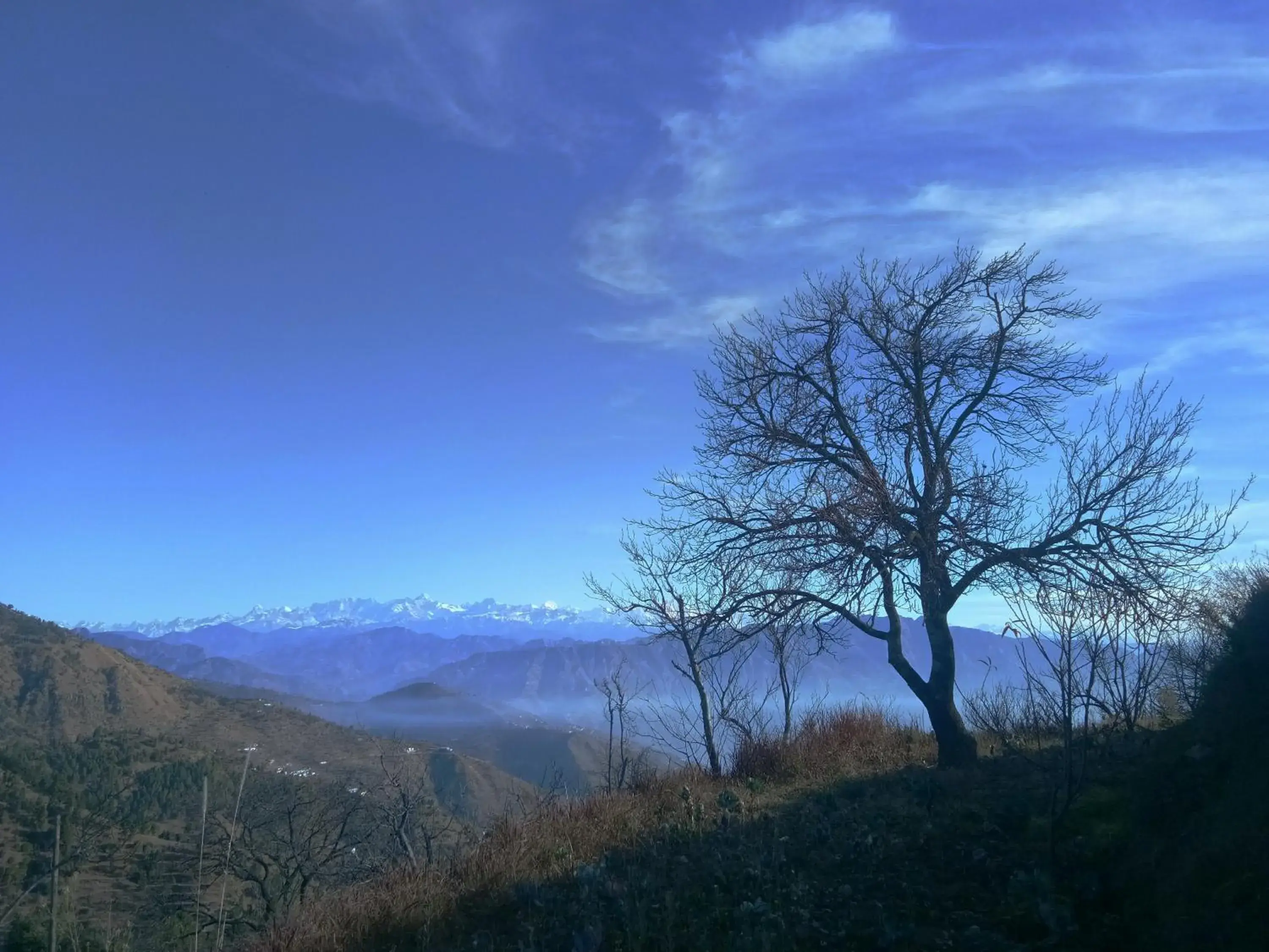 Mountain view in IN APPLE ESTATE KANATAL - Himalayan View Resort with Courteous Staff Mountain view in IN APPLE ESTATE KANATAL - Himalayan View Resort with Courteous Staff