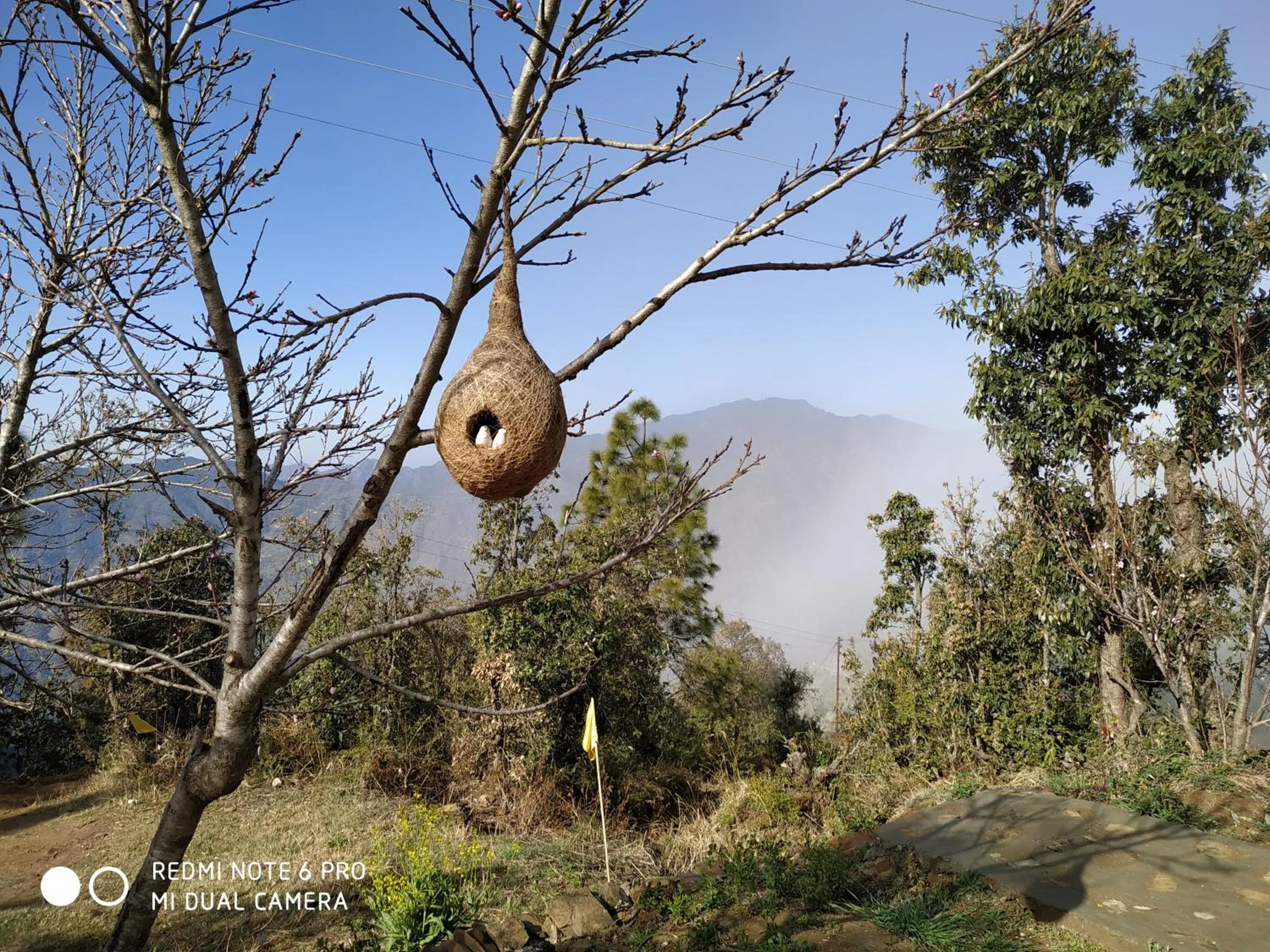 Natural landscape in IN APPLE ESTATE KANATAL - Himalayan View Resort with Courteous Staff
