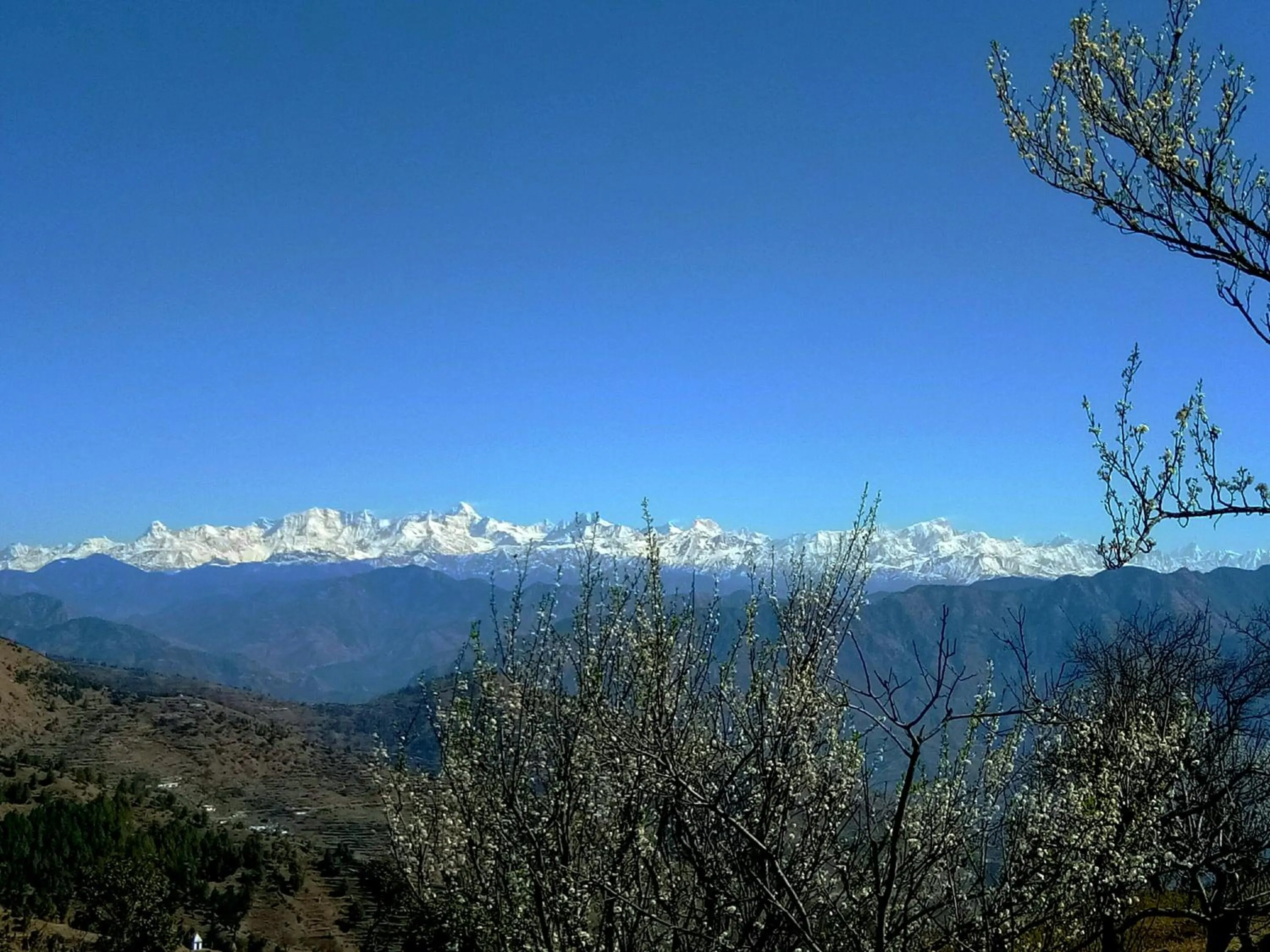 Mountain view in IN APPLE ESTATE KANATAL - Himalayan View Resort with Courteous Staff