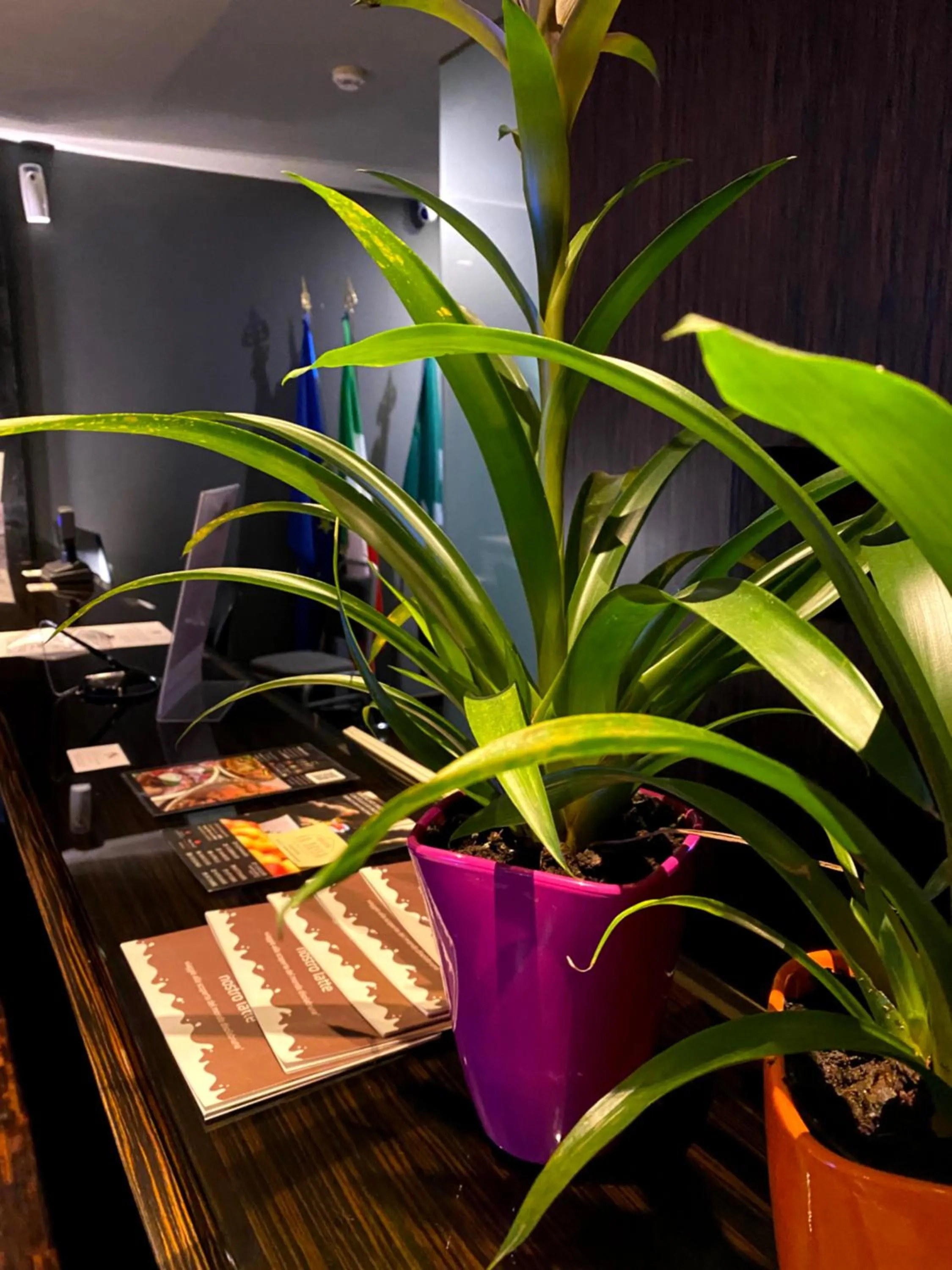 Bes Hotel Cremona Soncino