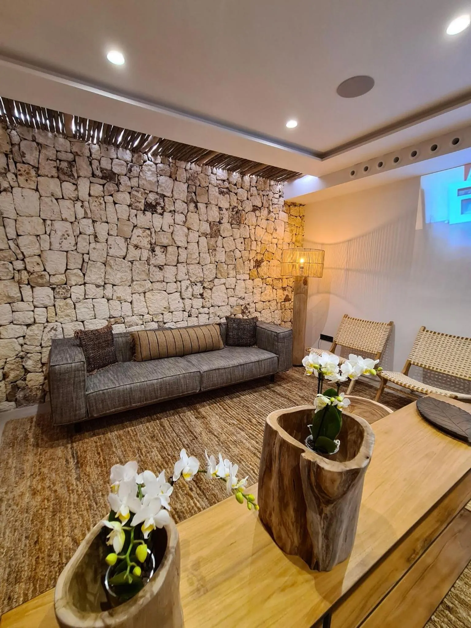 TV and multimedia in S´Estancia Suites