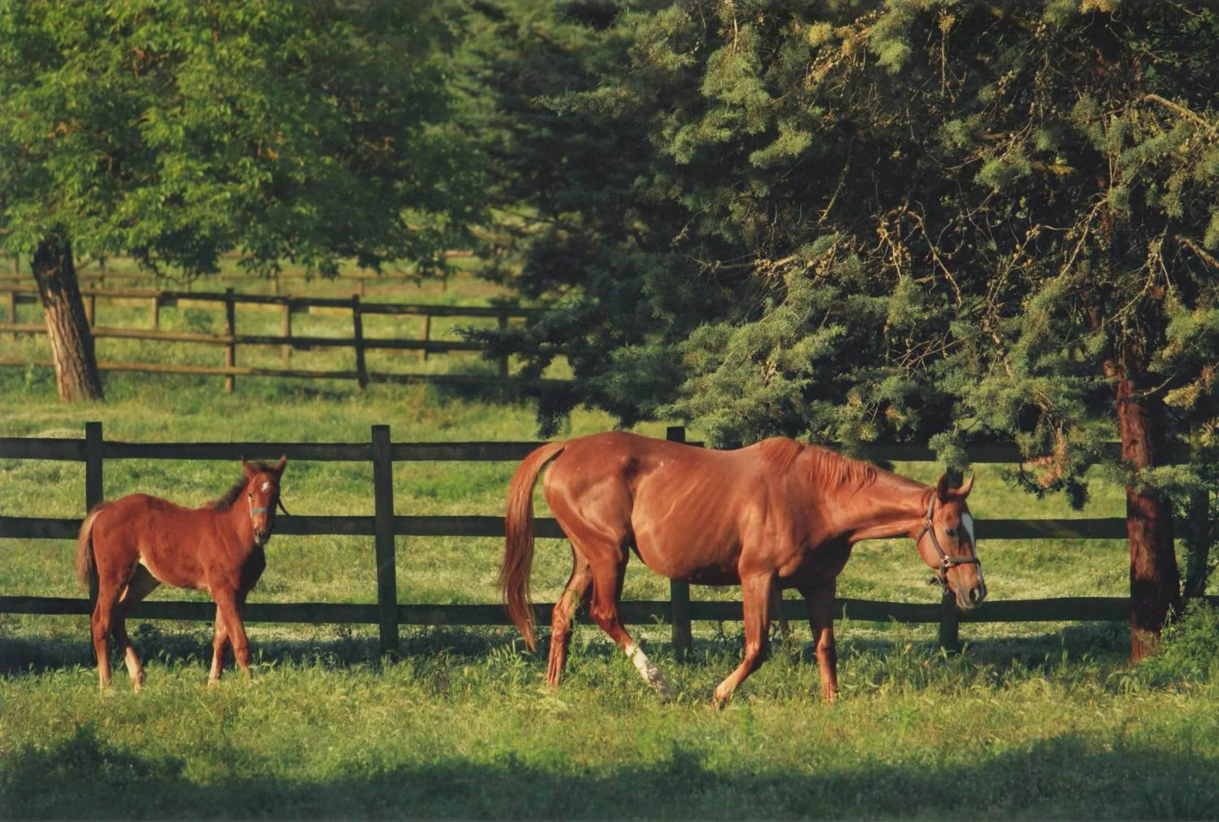 View (from property/room) in Agriturismo La Selva