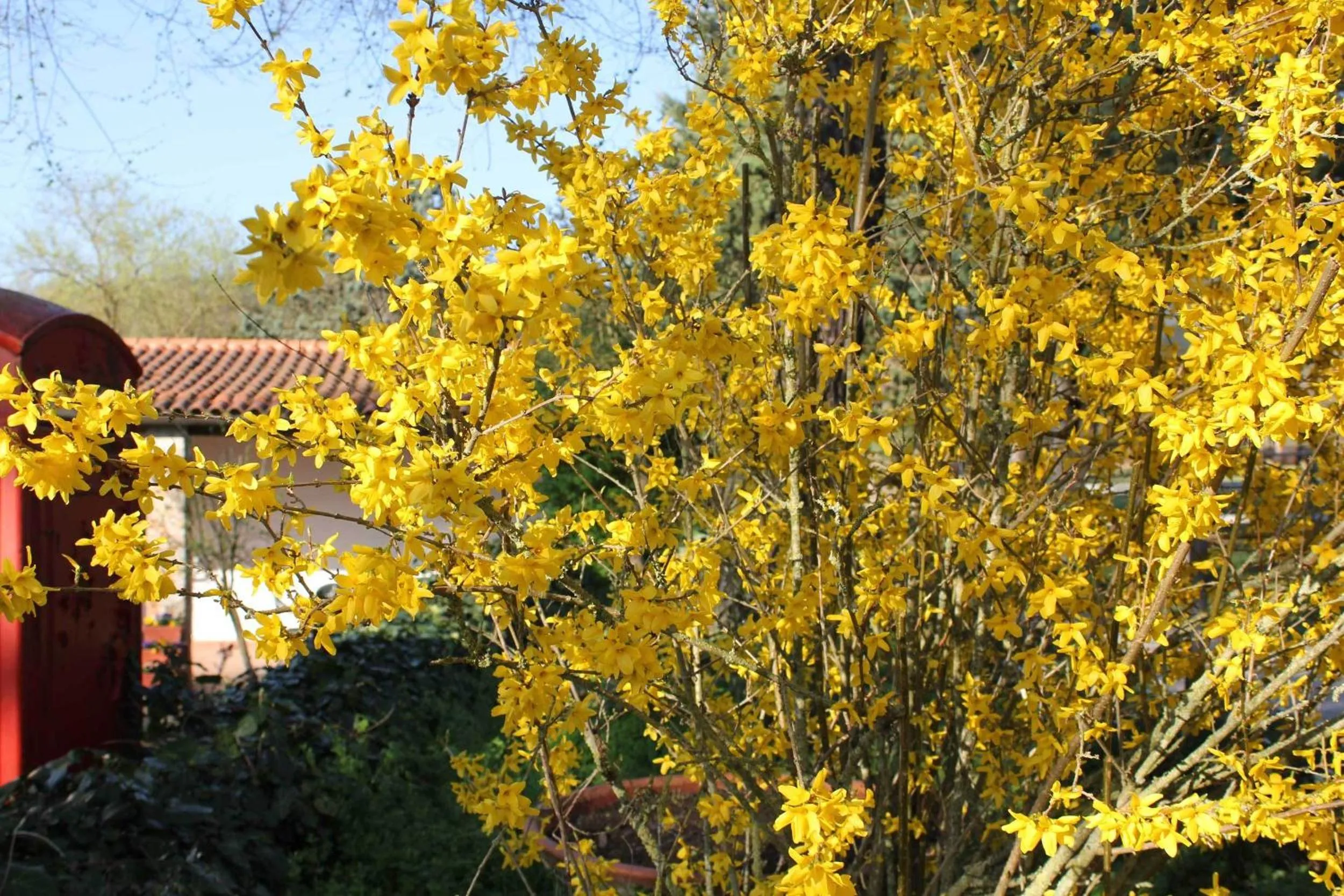 Decorative detail in Agriturismo La Selva