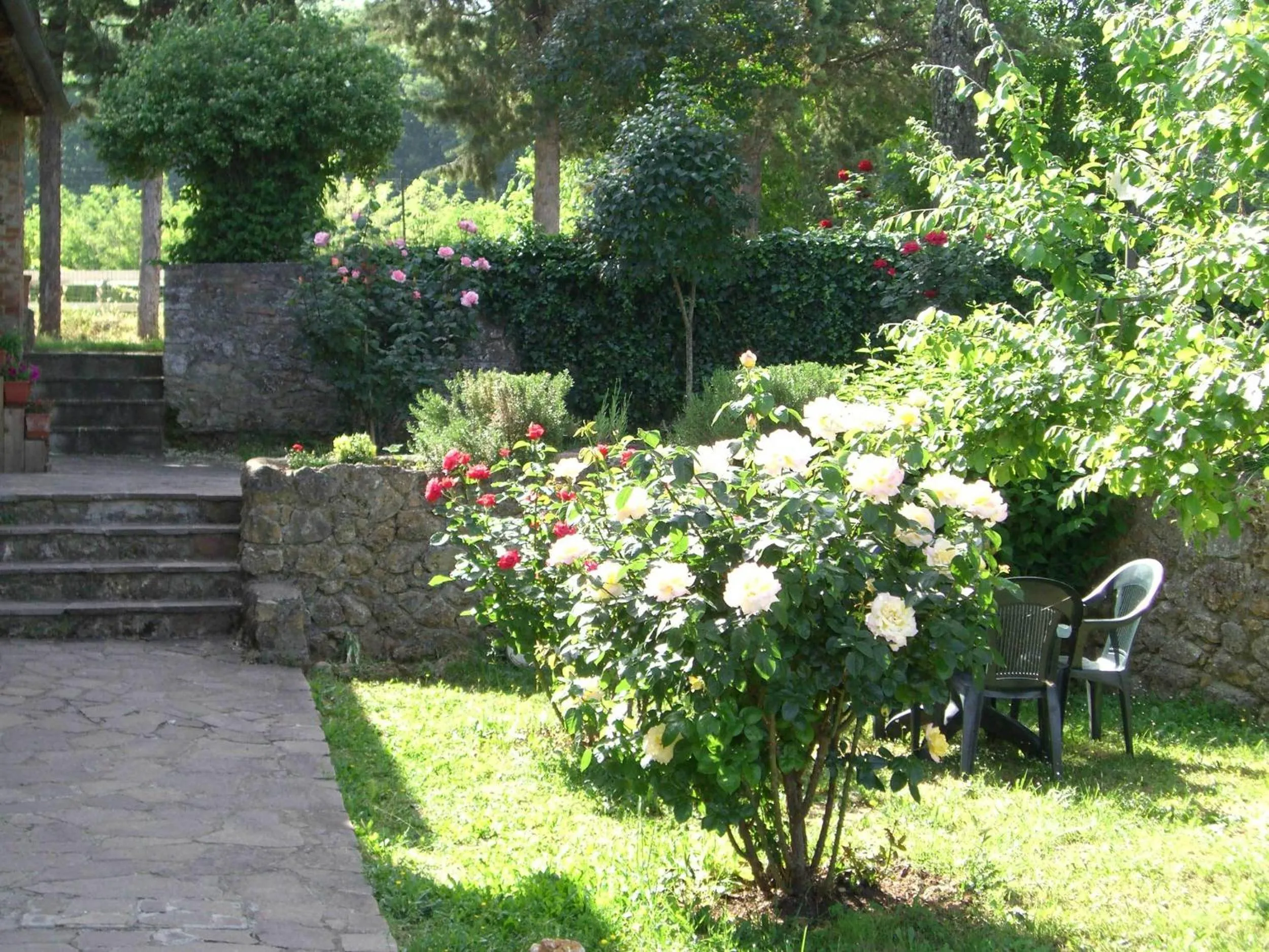 Garden in Agriturismo La Selva