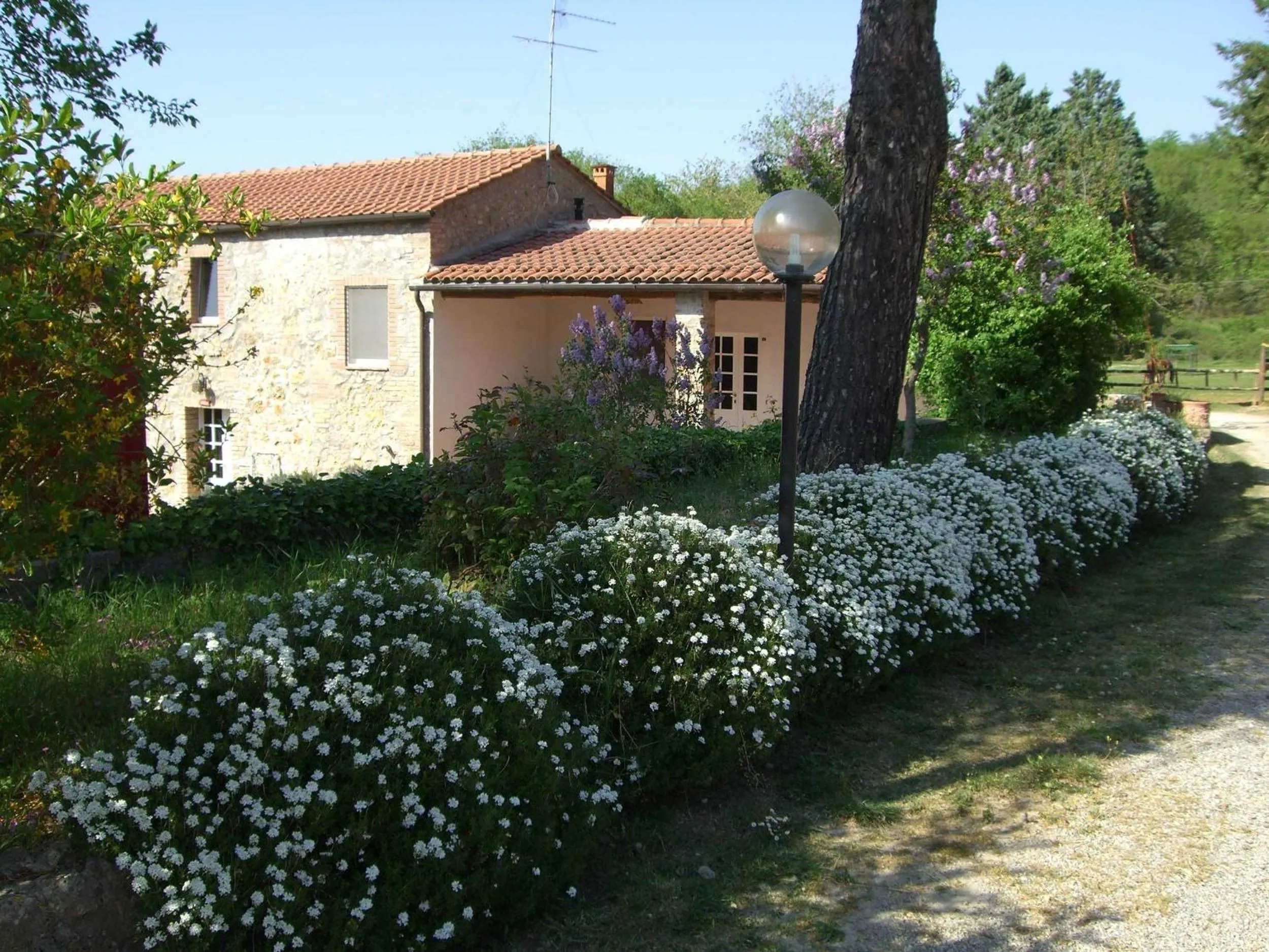 Facade/entrance in Agriturismo La Selva