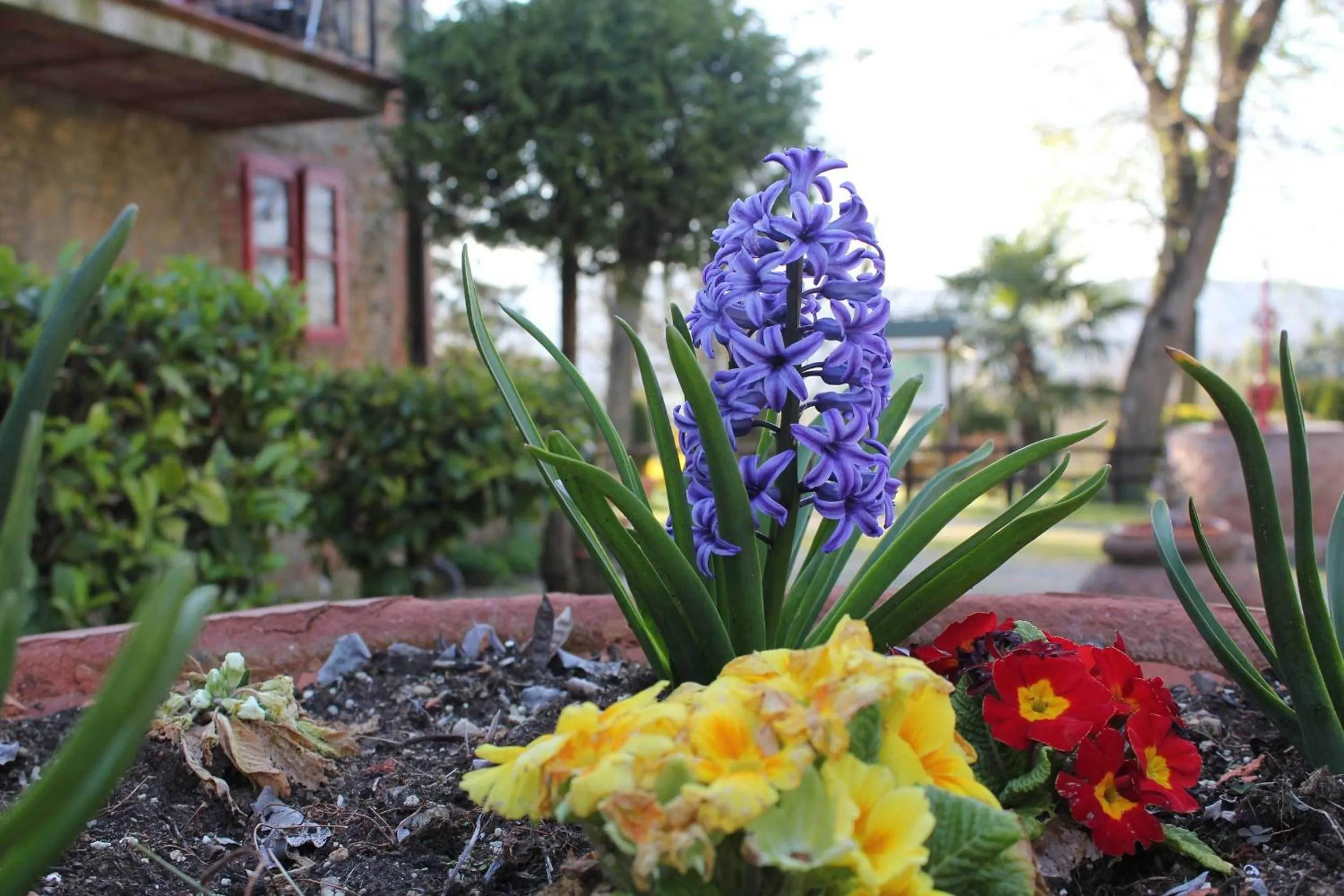 Facade/entrance in Agriturismo La Selva