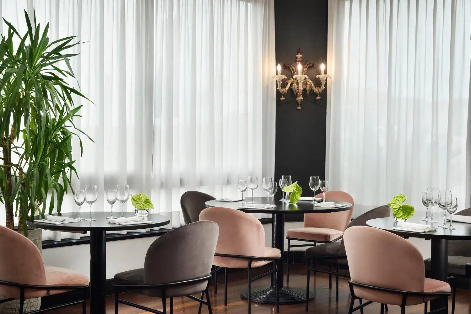 Restaurant/places to eat in Hotel President Restaurant/places to eat in Hotel President