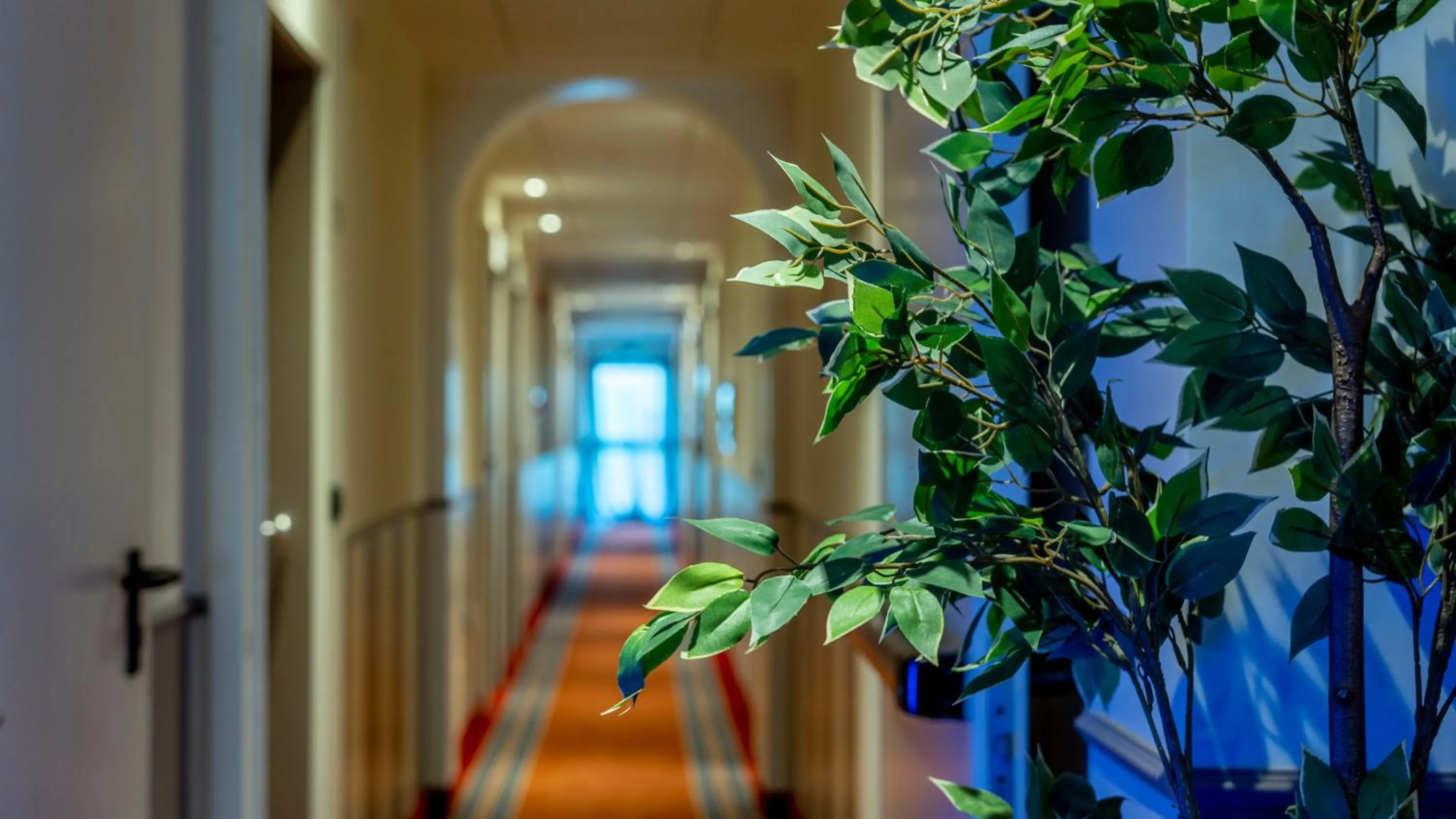 Confidence Hotel Ligabue