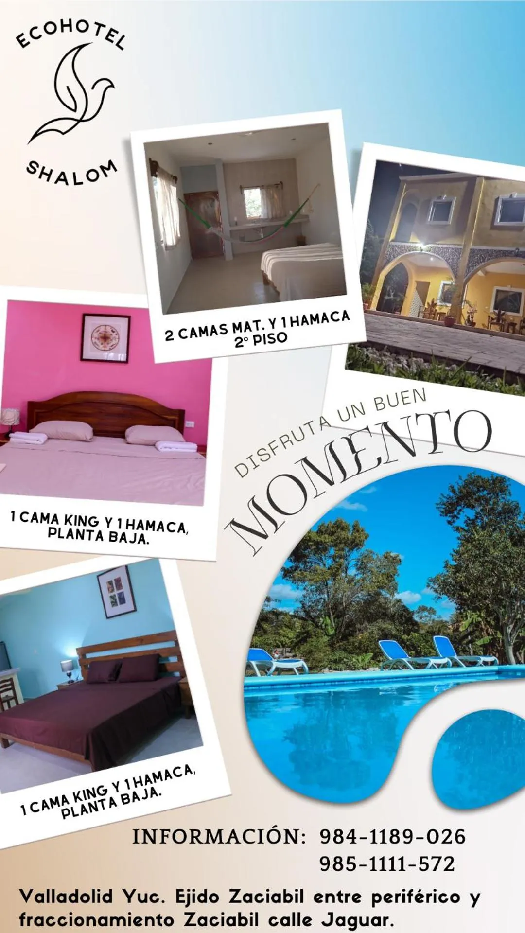 Swimming pool in Ecohotel Shalom