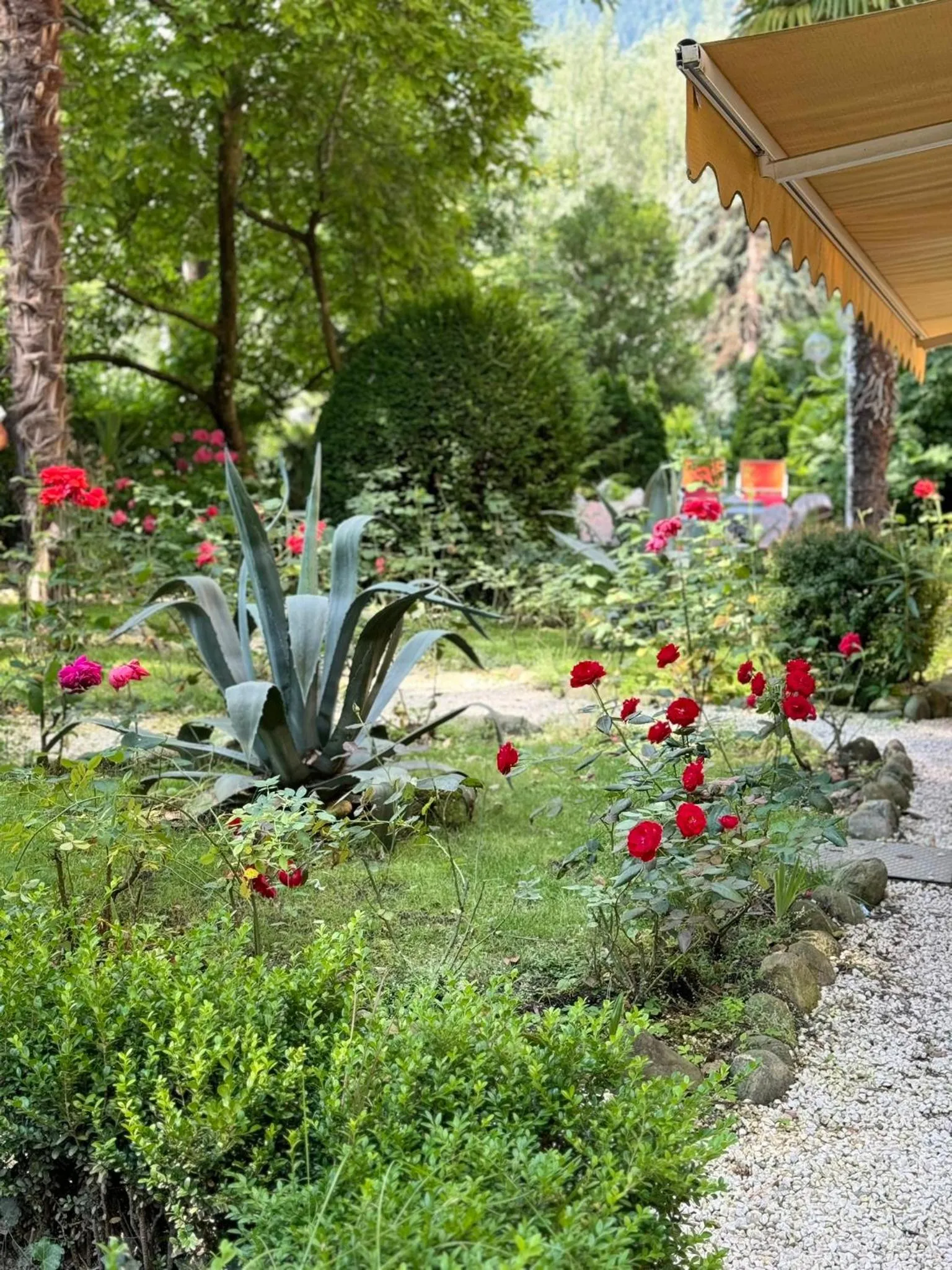 Balcony/Terrace in Hotel Villa Westend