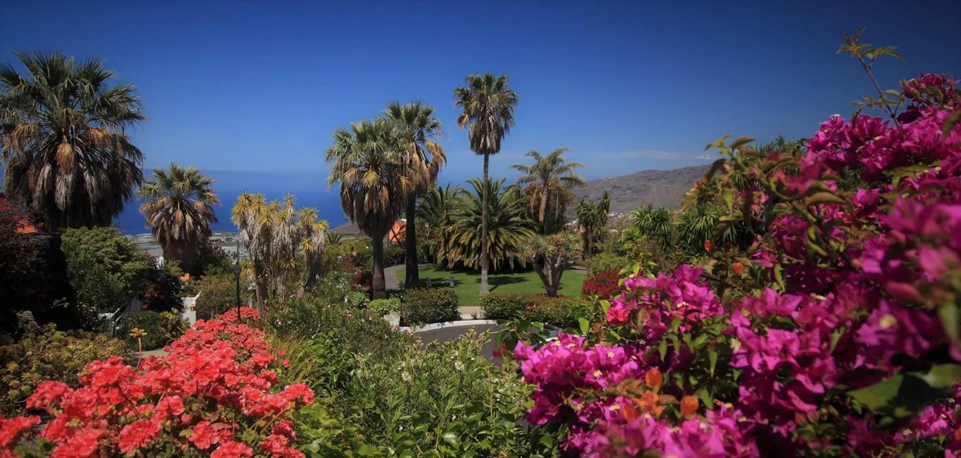 Natural landscape in La Palma Jardín Resort