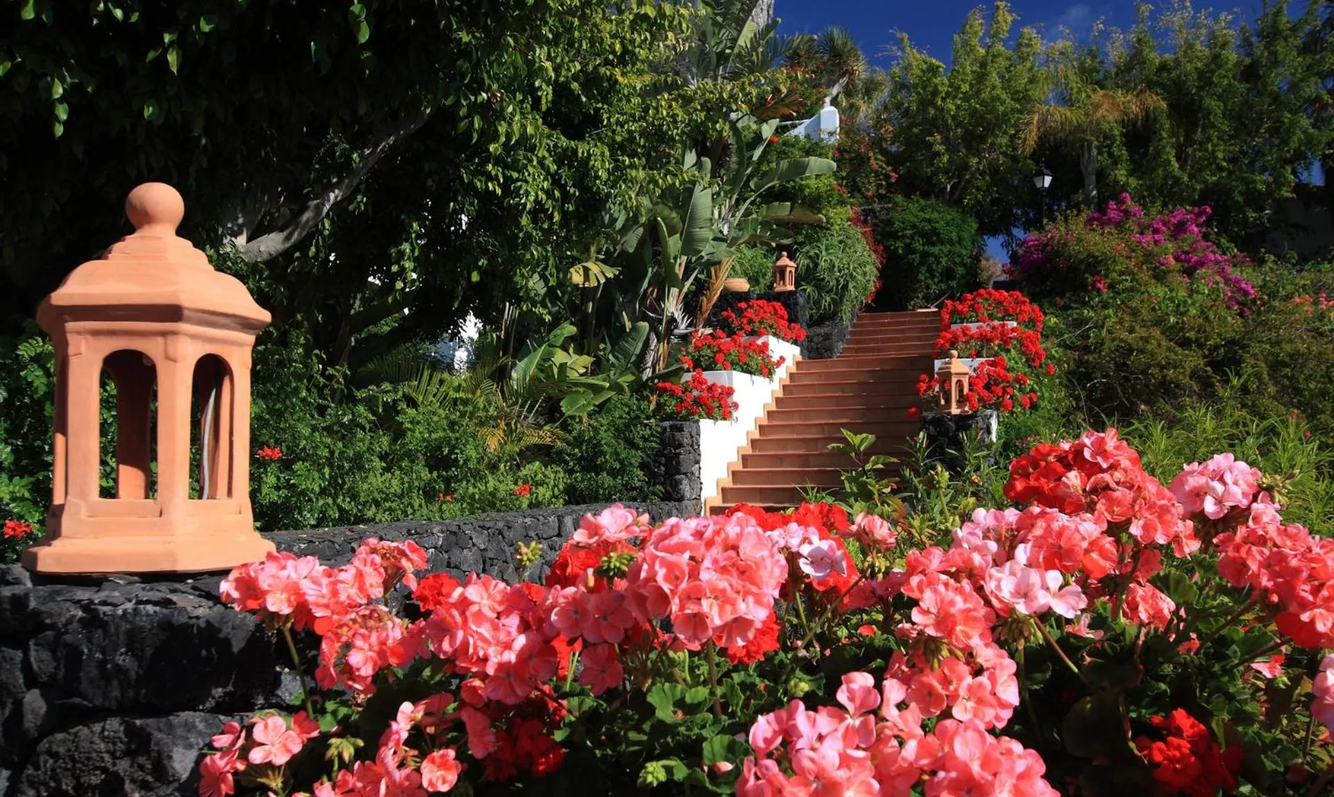 Garden in La Palma Jardín Resort