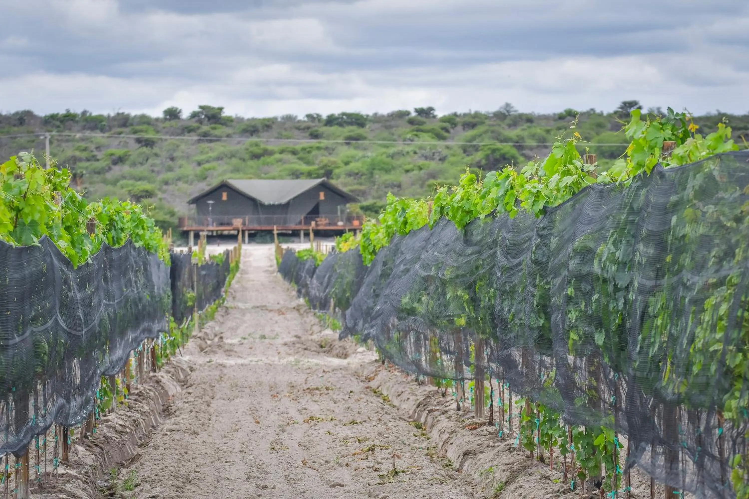 Day in Viatura Omún, San Miguel de Allende, with Optional All Inclusive