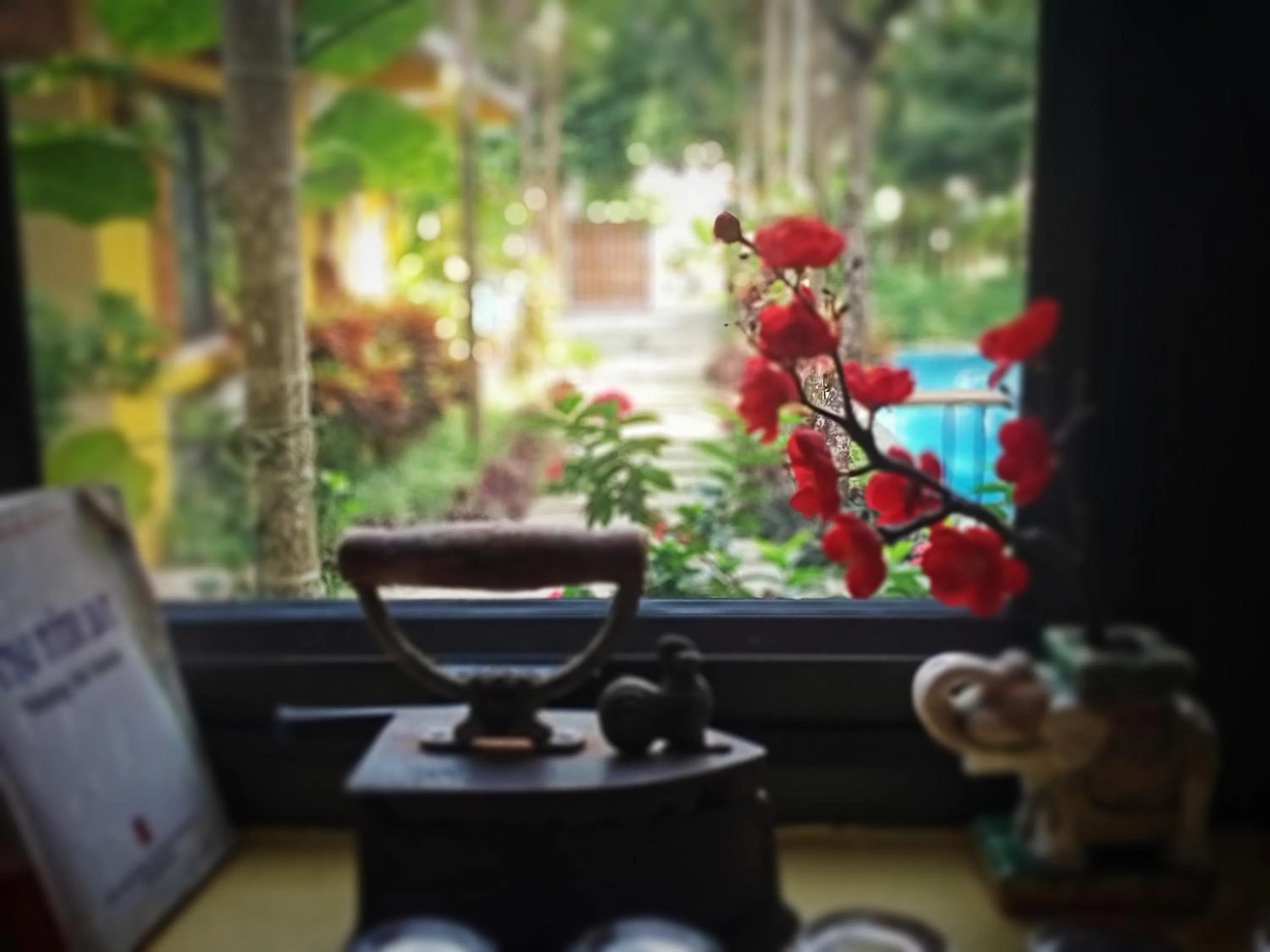 Garden view in Mai Home Ninh Bình