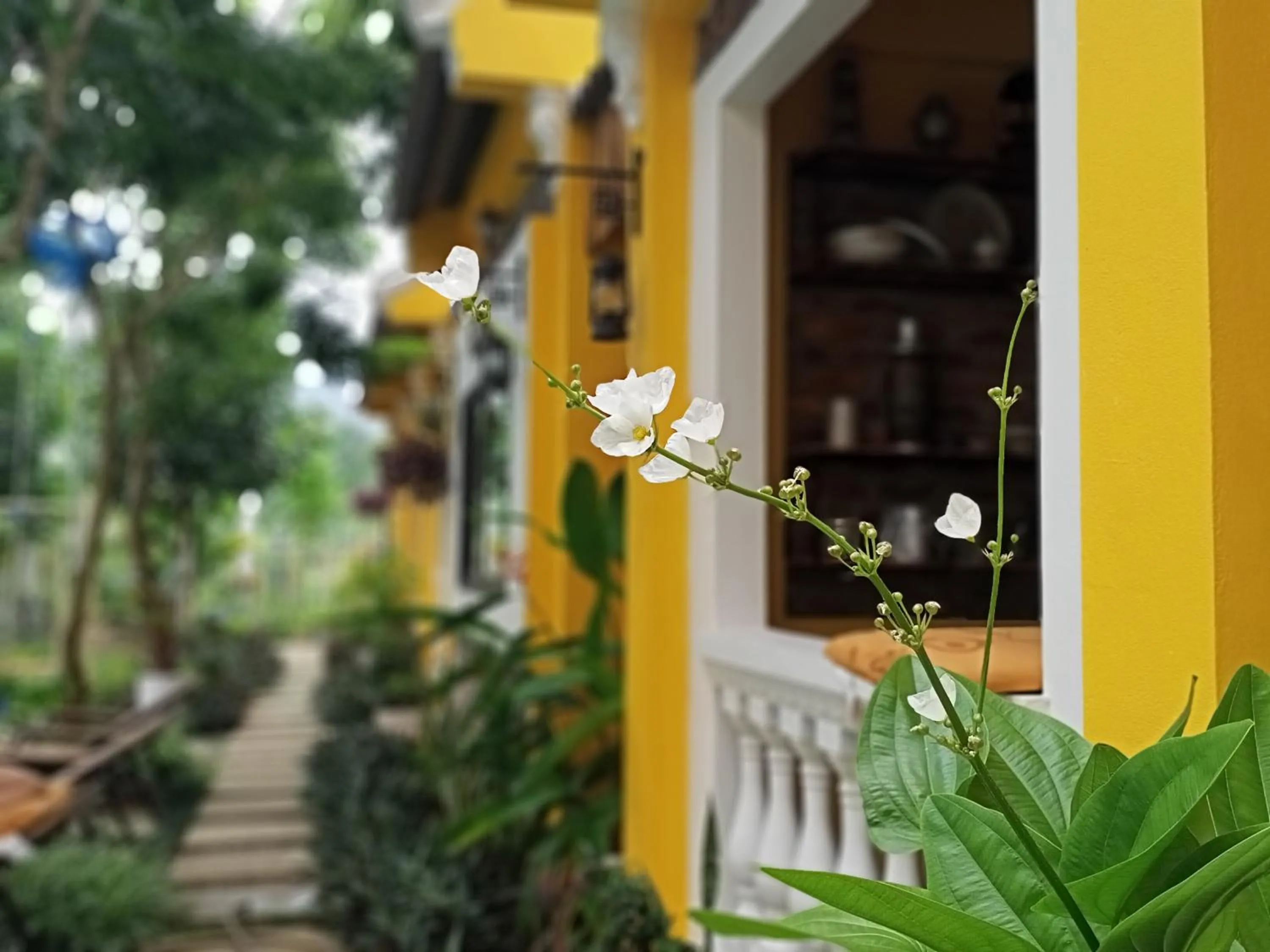 Garden in Mai Home Ninh Bình