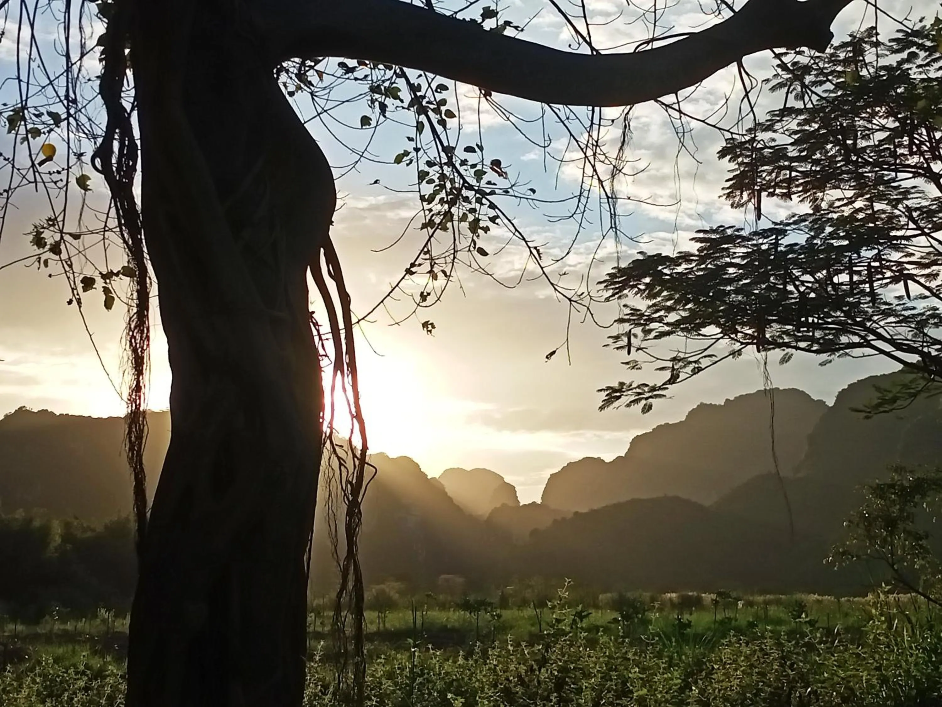 Natural landscape in Mai Home Ninh Bình