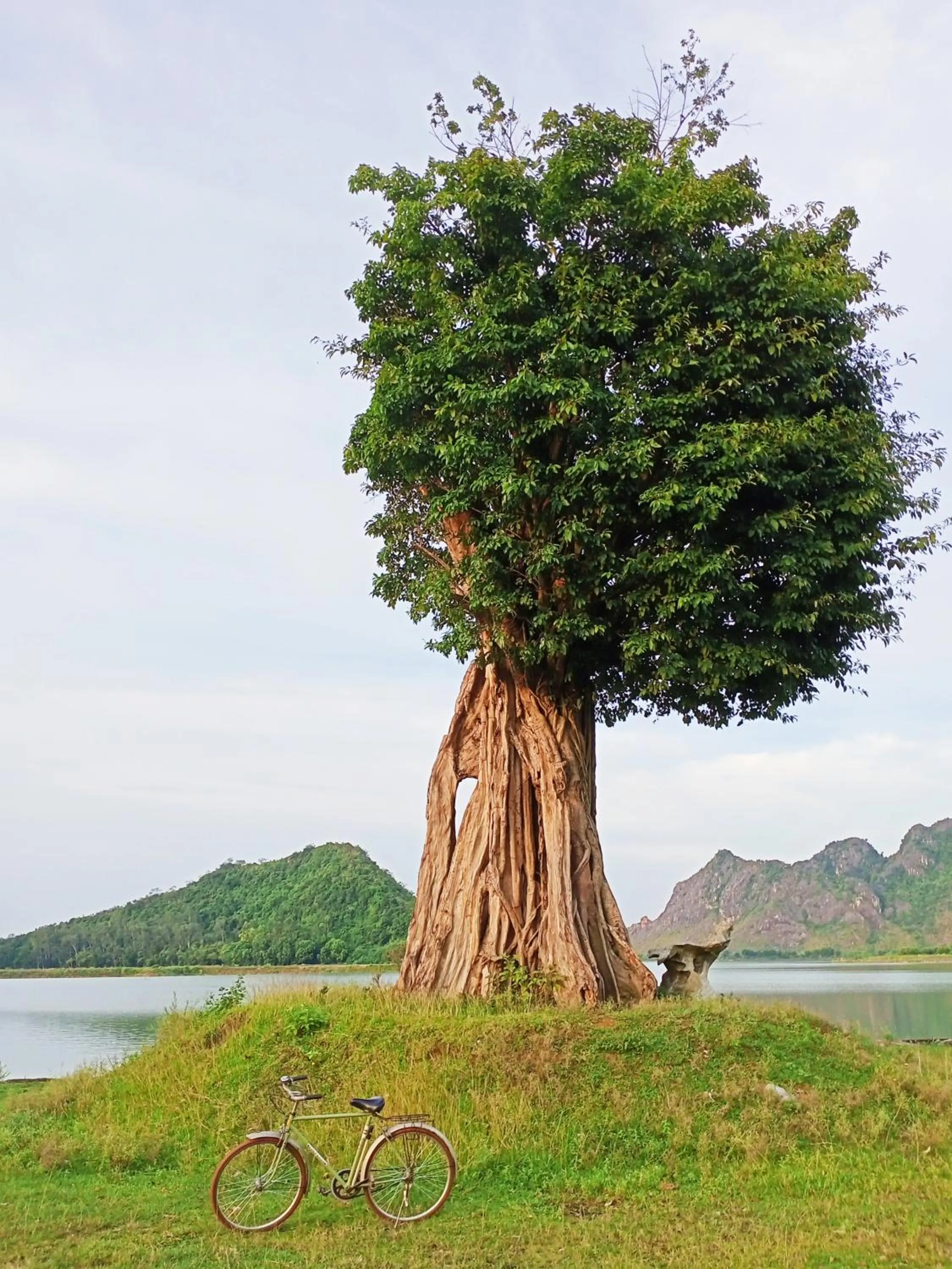 Neighbourhood in Mai Home Ninh Bình