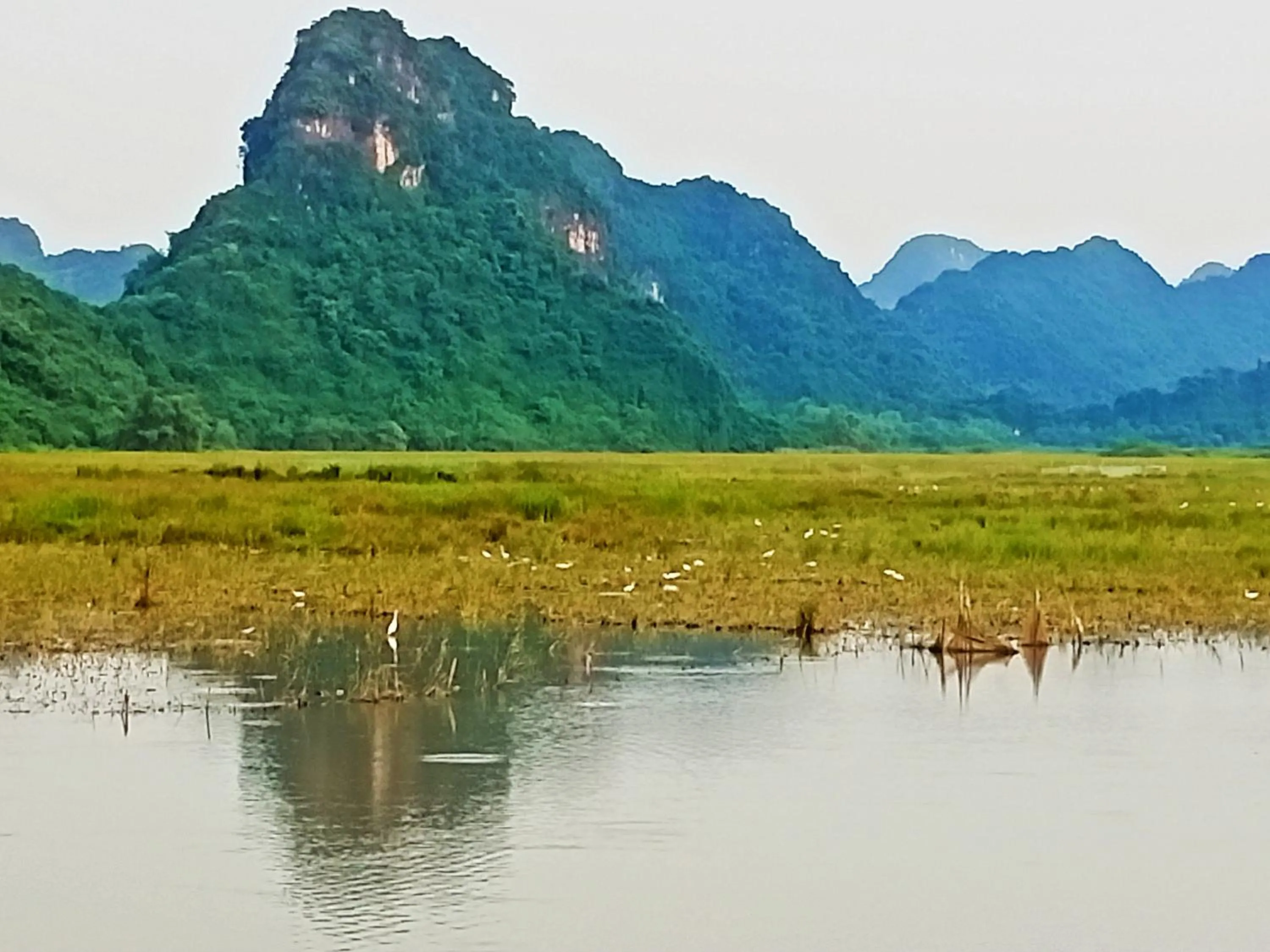 Neighbourhood in Mai Home Ninh Bình