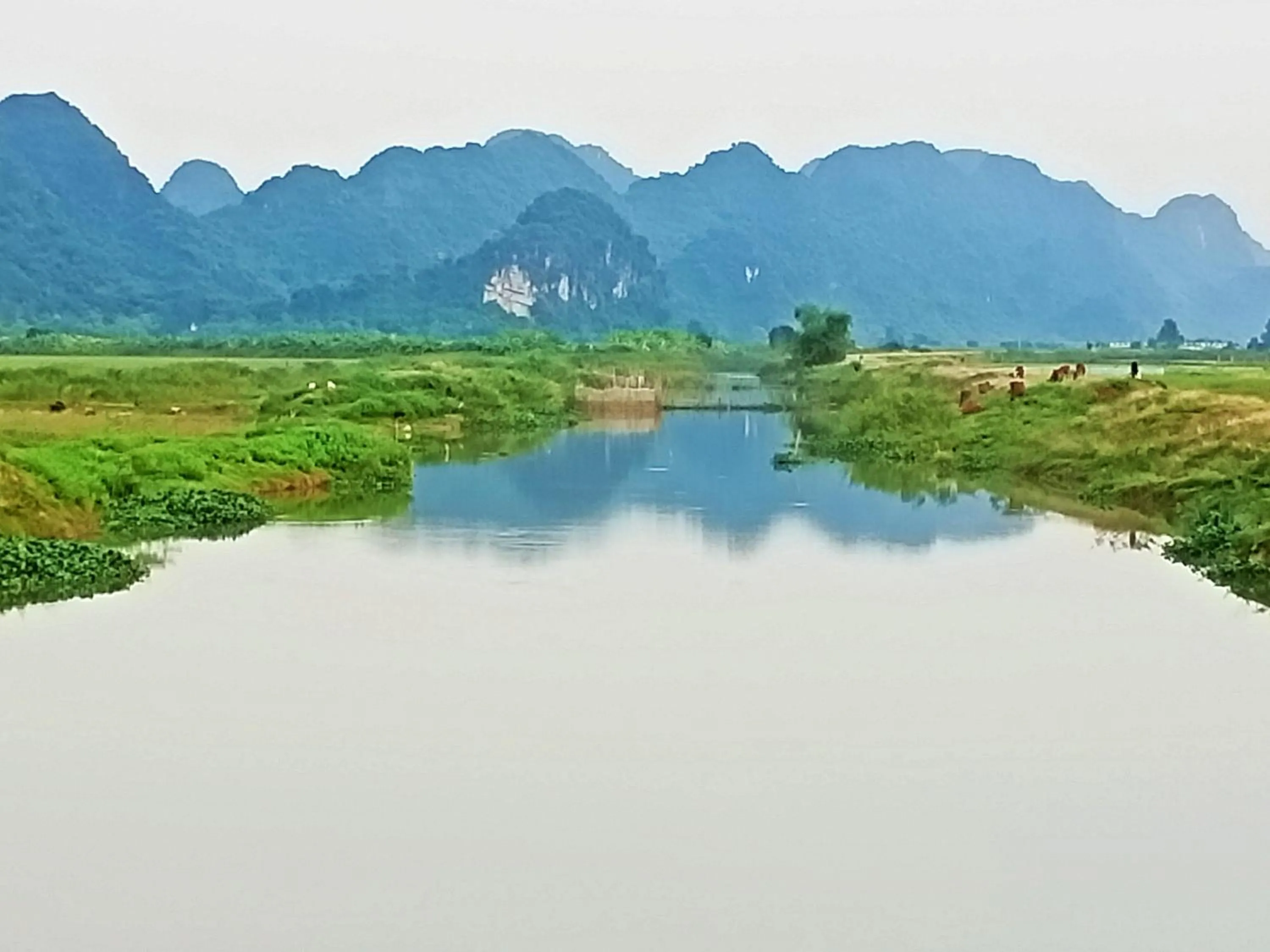 Neighbourhood in Mai Home Ninh Bình