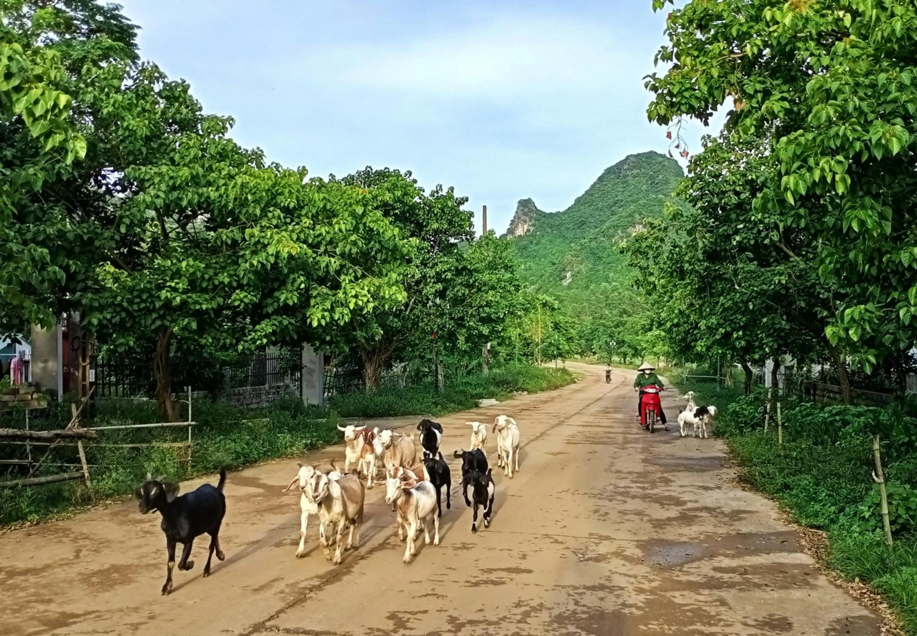 People in Mai Home Ninh Bình