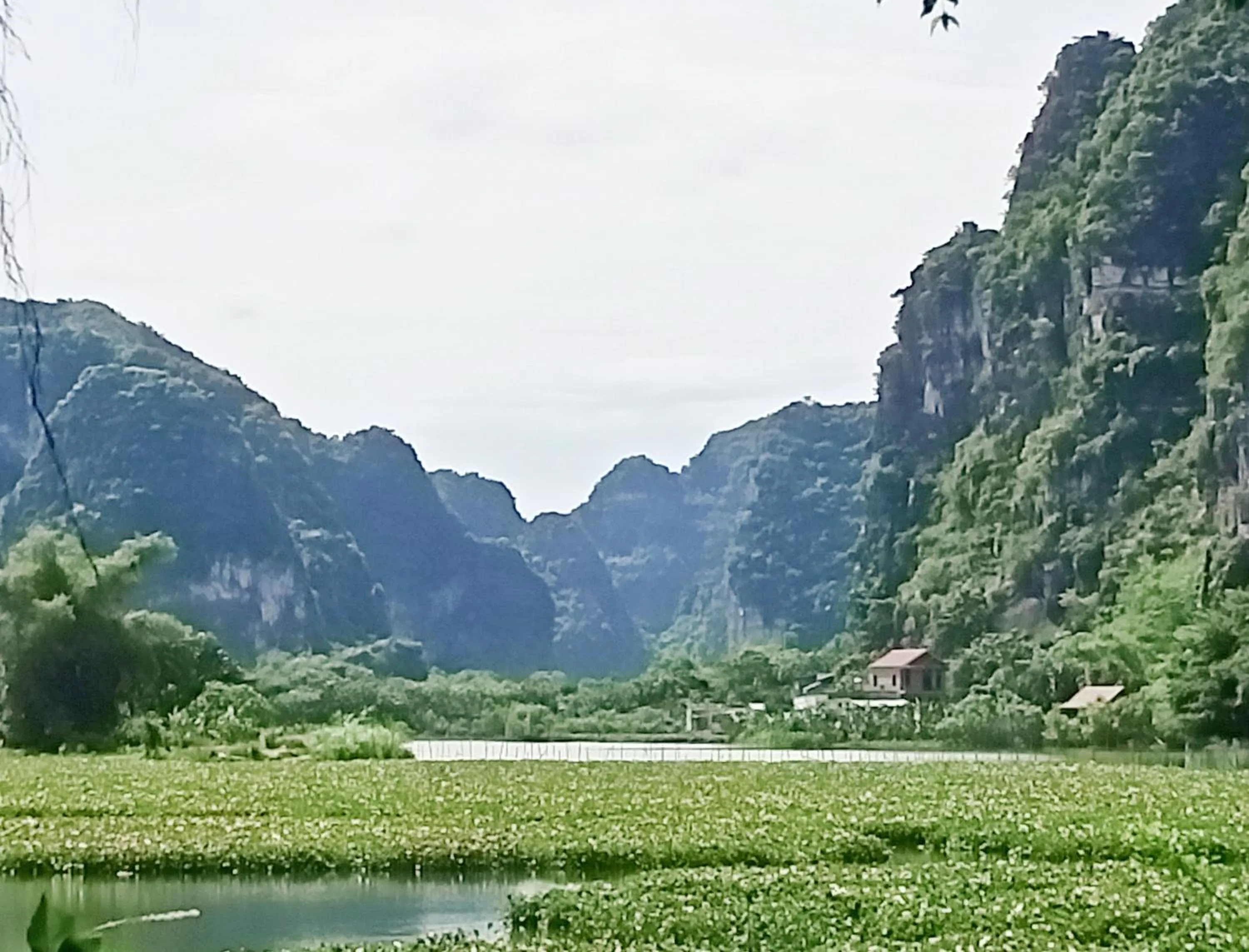Neighbourhood in Mai Home Ninh Bình