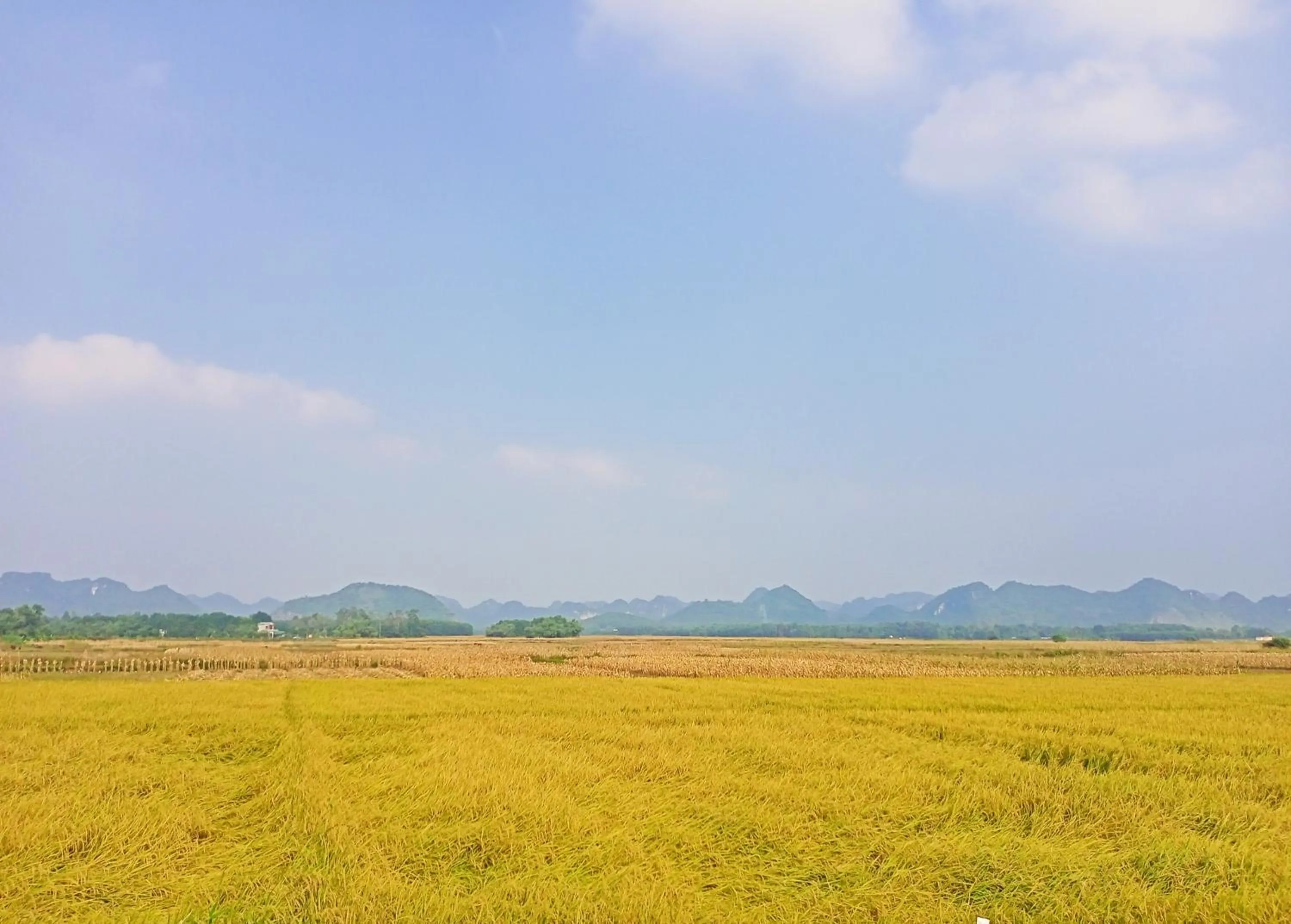 Neighbourhood in Mai Home Ninh Bình