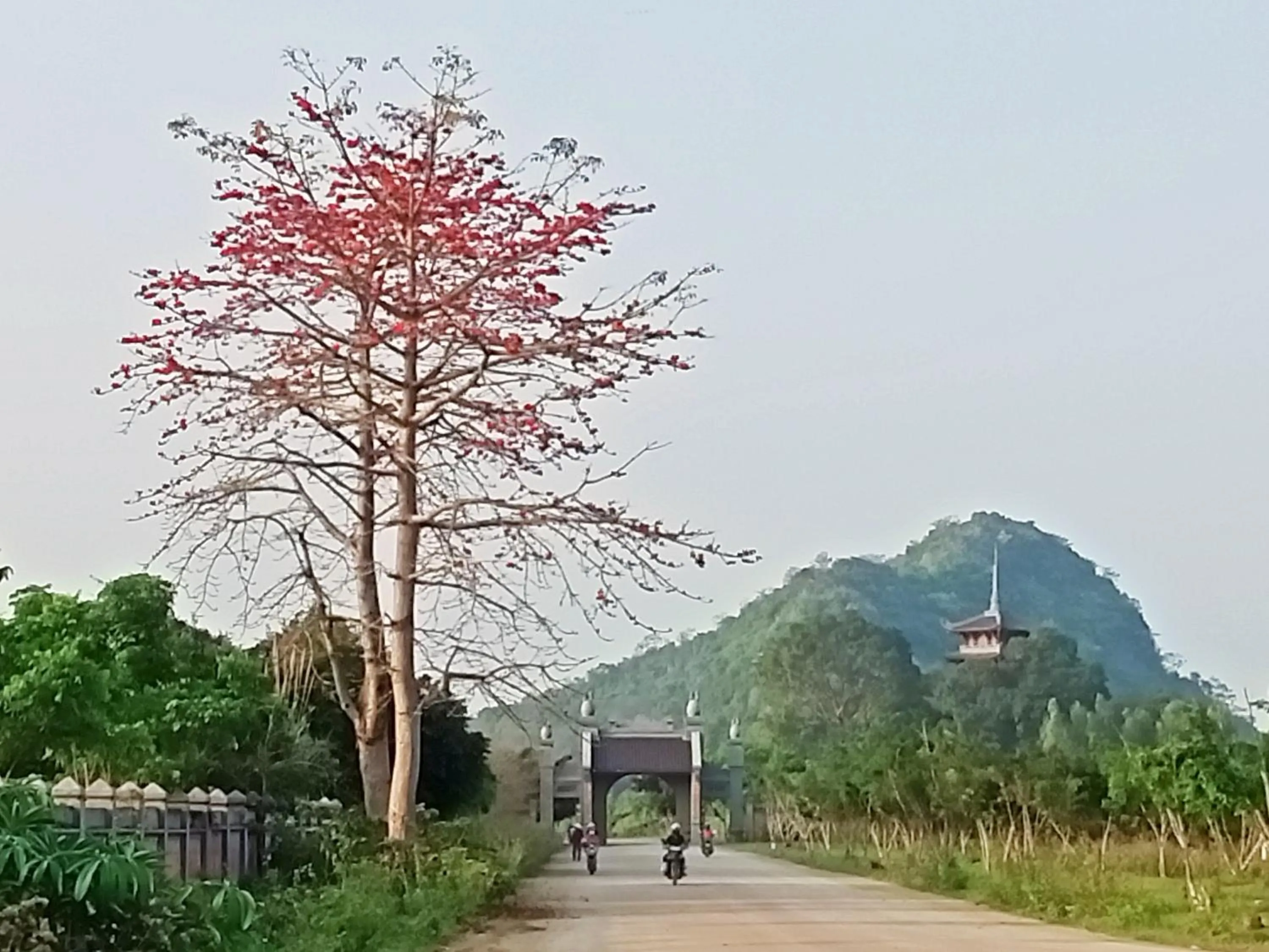Neighbourhood in Mai Home Ninh Bình