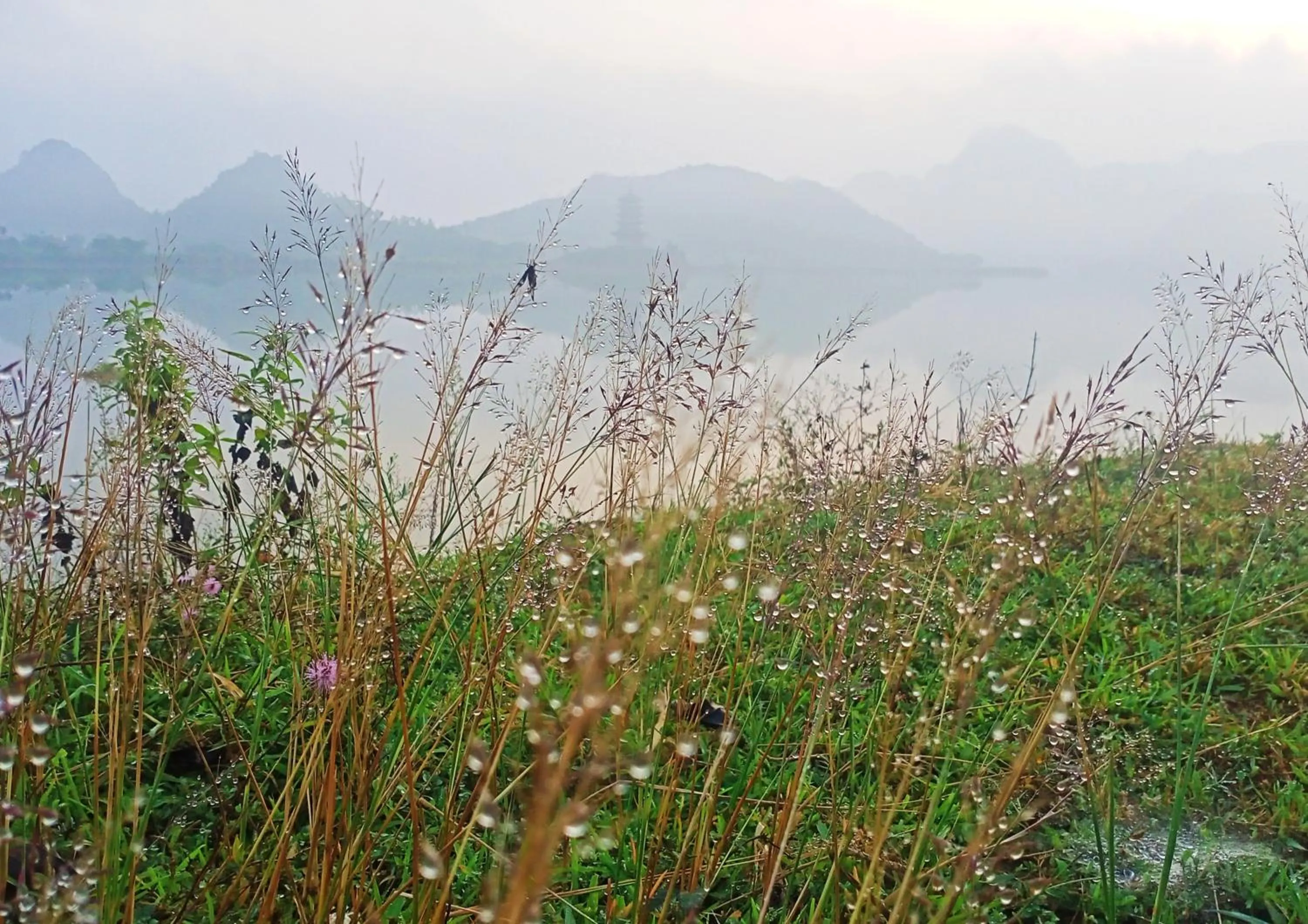 Day in Mai Home Ninh Bình
