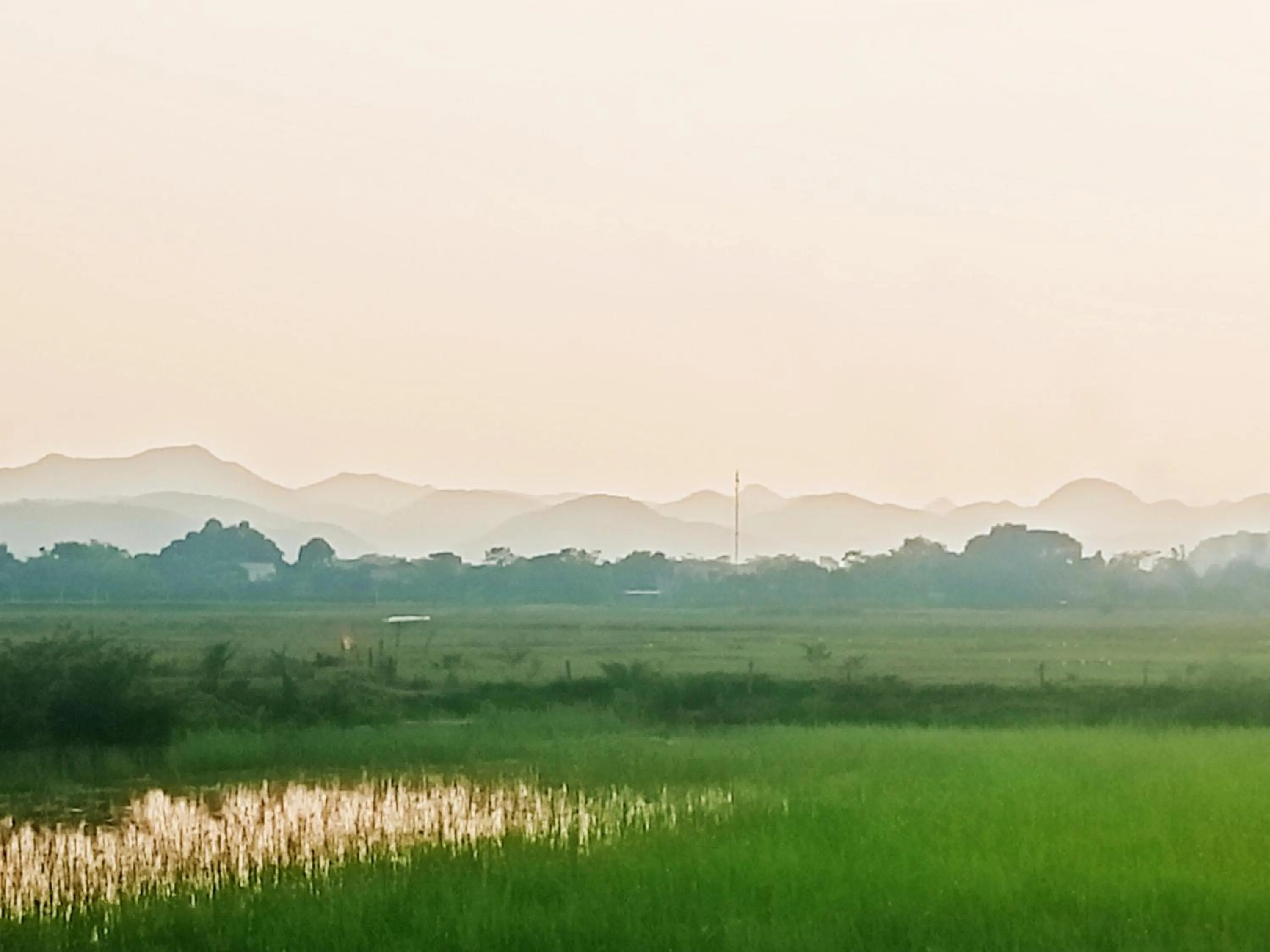 Neighbourhood in Mai Home Ninh Bình