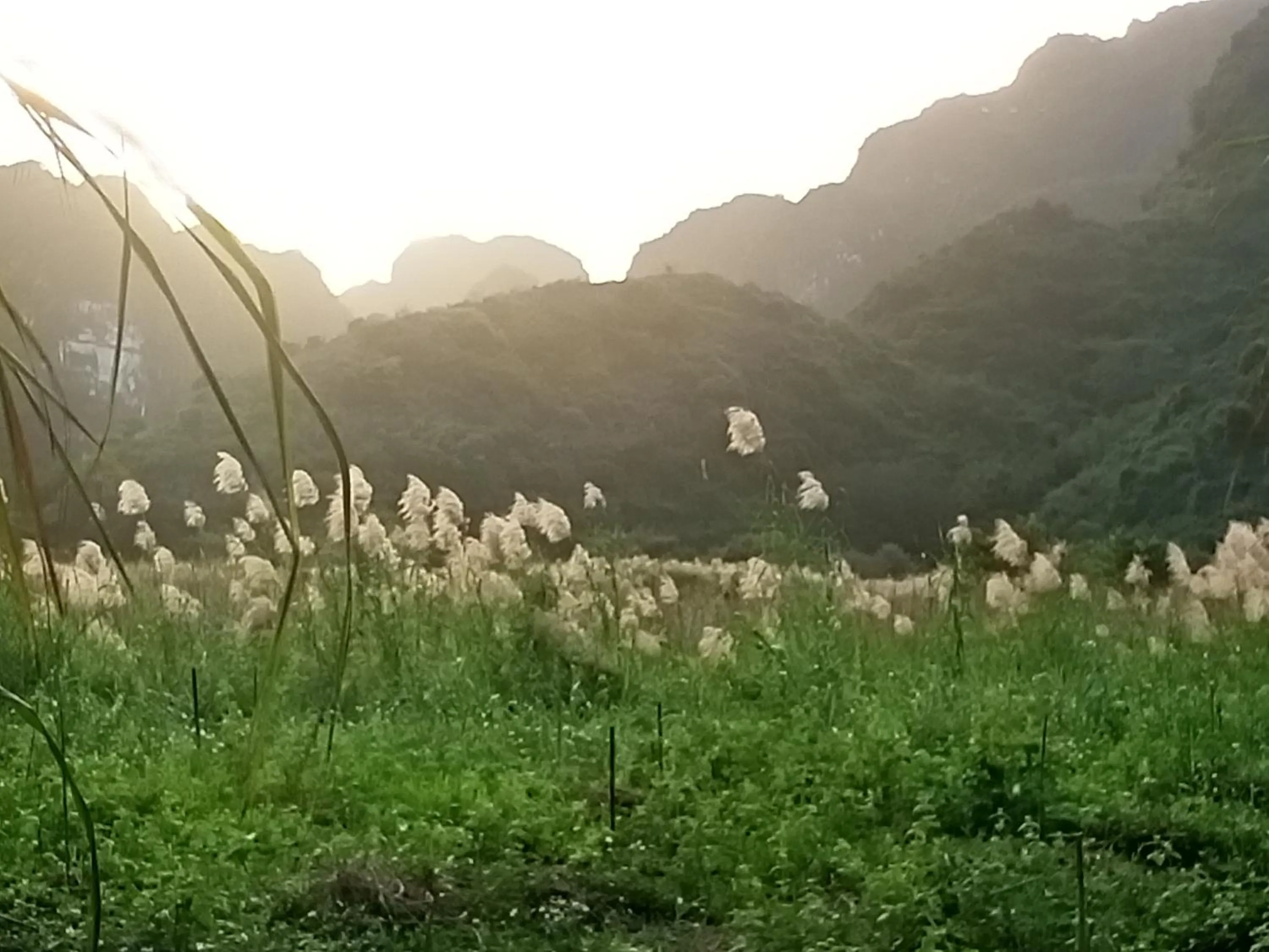 Natural landscape in Mai Home Ninh Bình