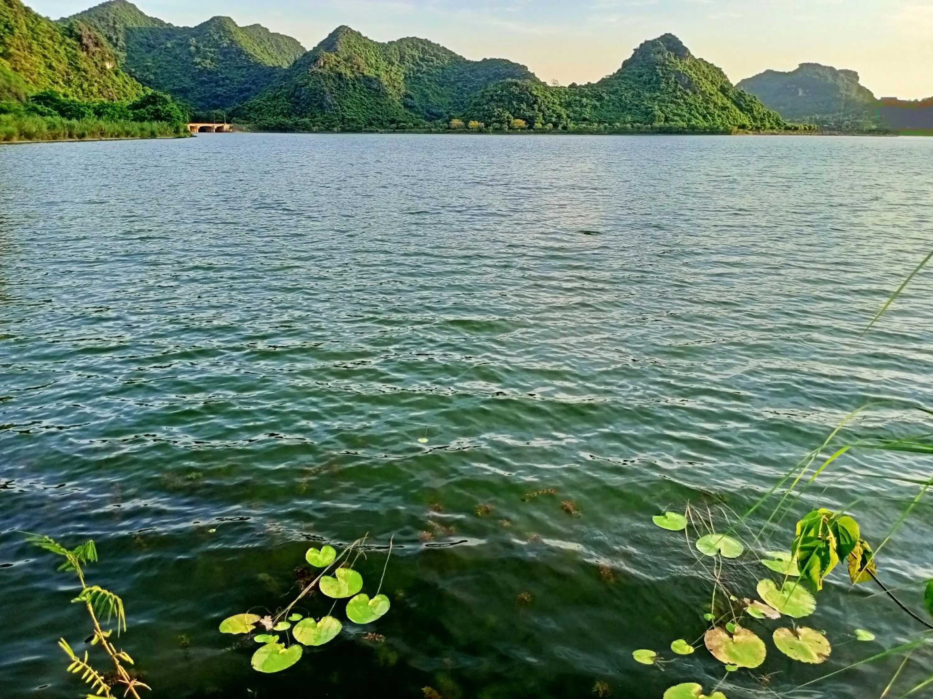 Neighbourhood in Mai Home Ninh Bình
