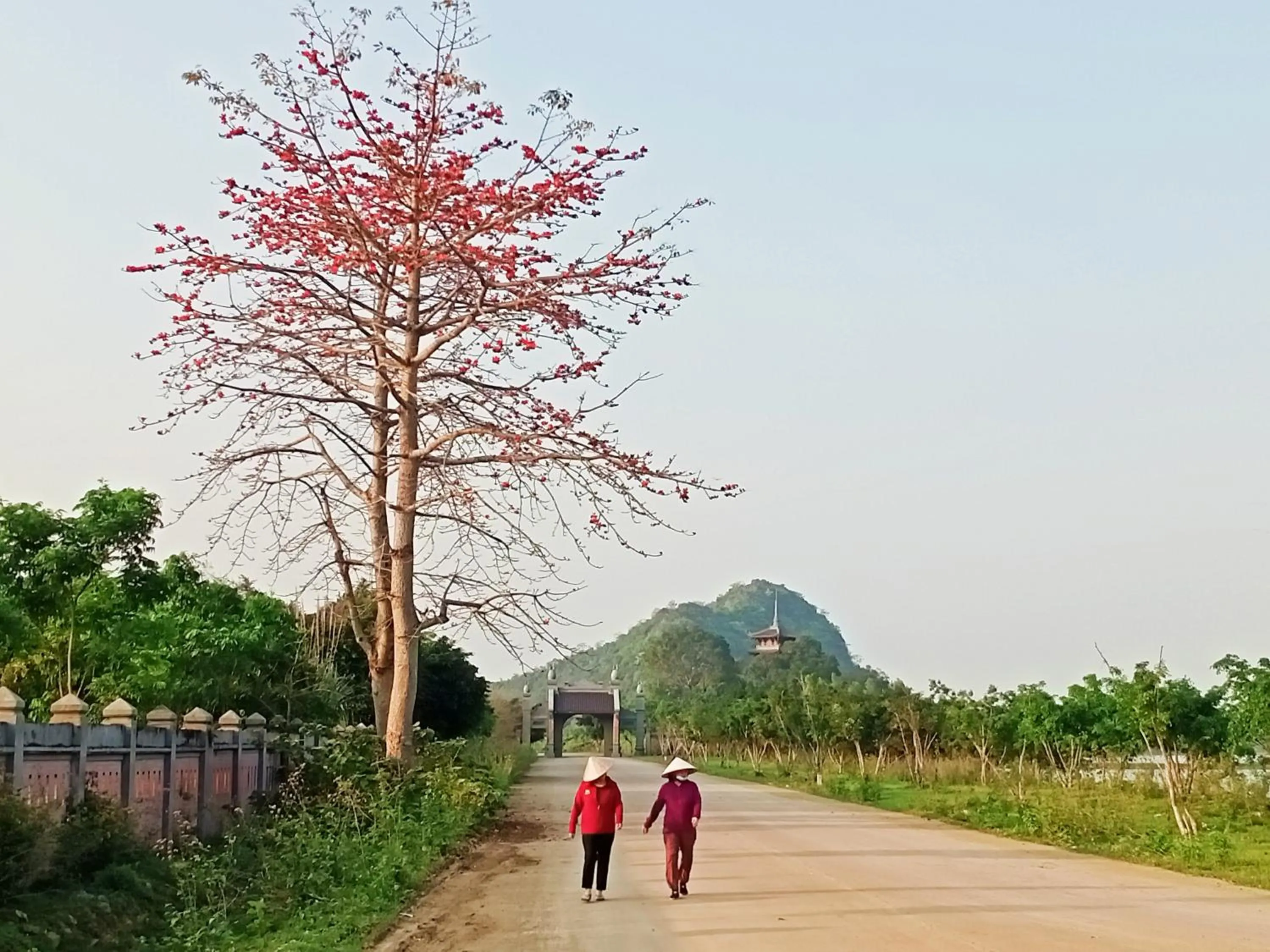 People in Mai Home Ninh Bình