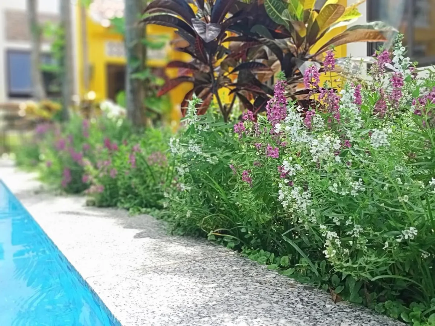 Garden in Mai Home Ninh Bình