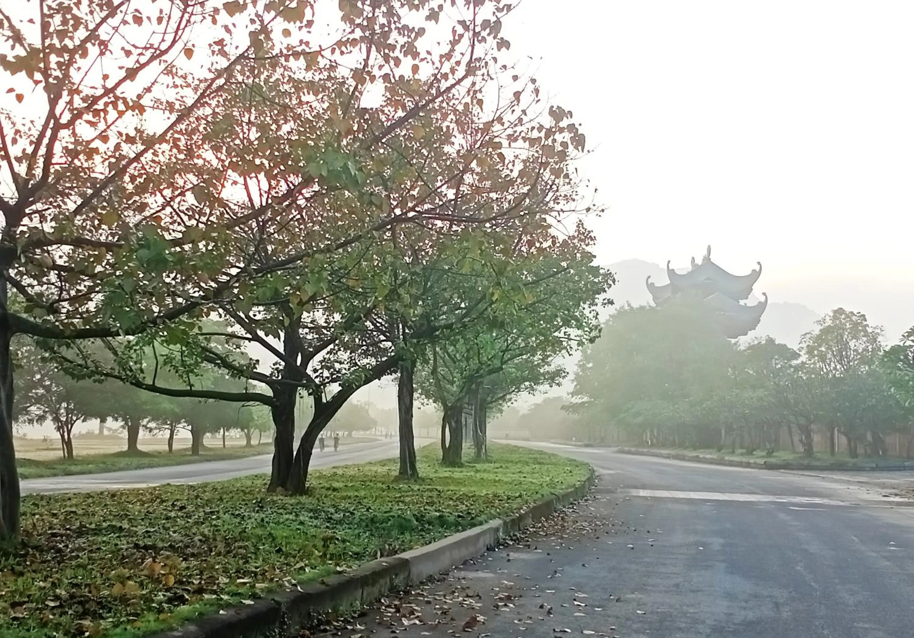 Day in Mai Home Ninh Bình
