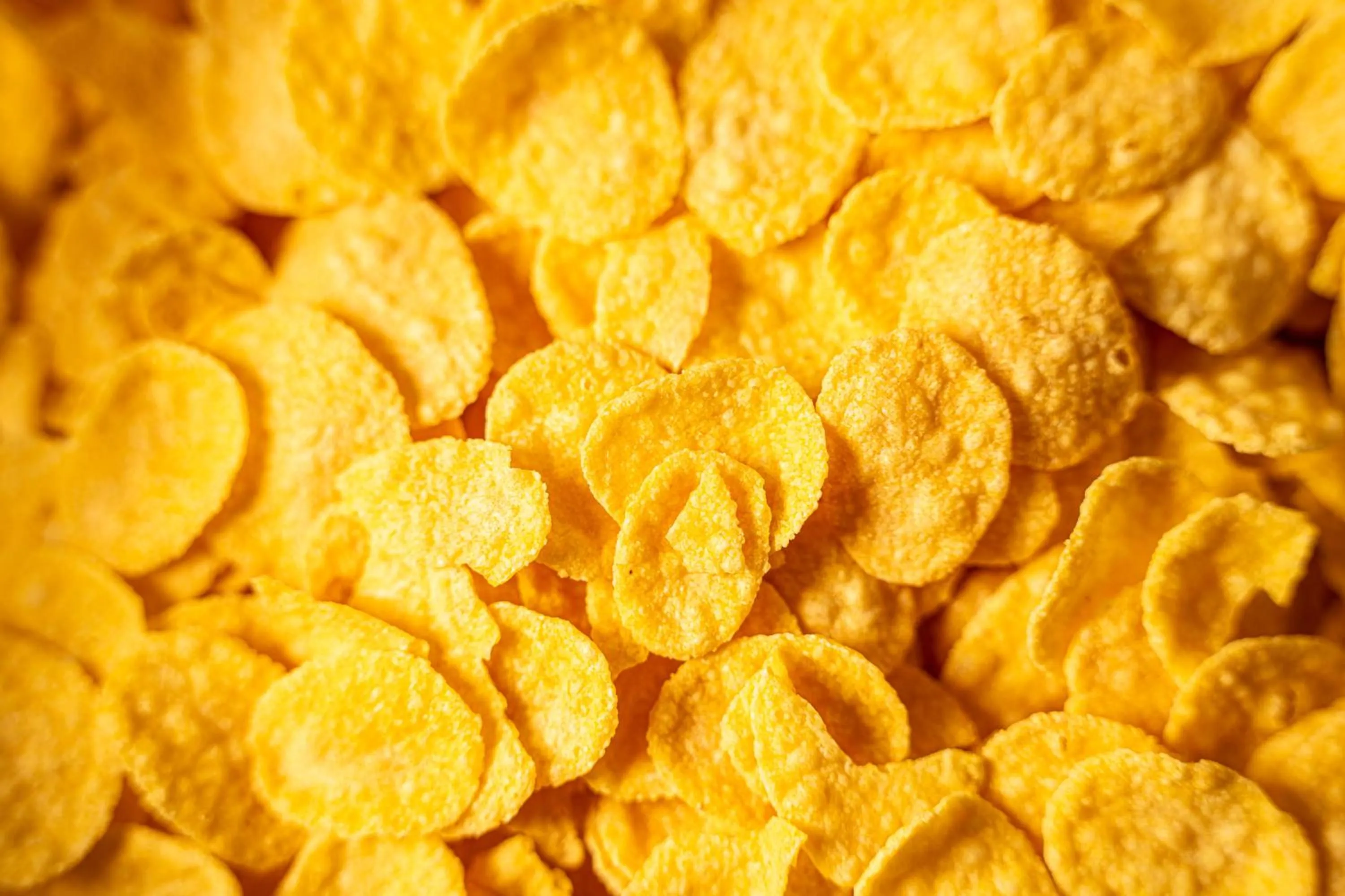 Breakfast in Tulip Inn Turin South