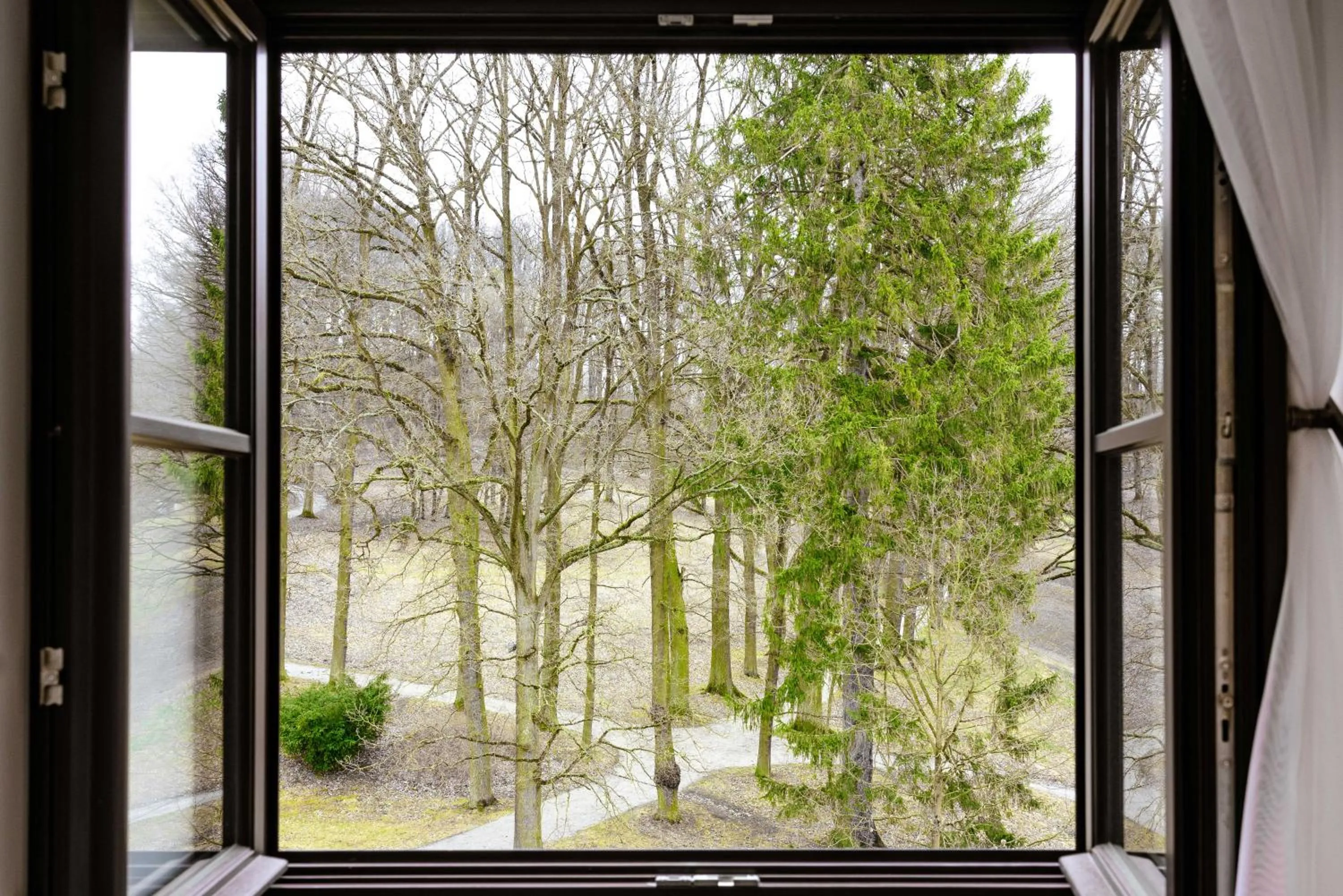 View (from property/room) in Zámek Třešť